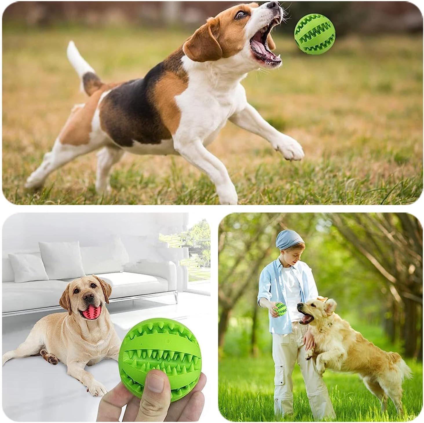 3 Pieces Dog Toys for Boredom Interactive 5Cm Treat Dispenser,Teeth Cleaning Chew Toy Exercise Game IQ Training Ball, Nontoxic and Durable Dog Products for Indoor Puppy Cat (Red, Blue, Green) image number 1