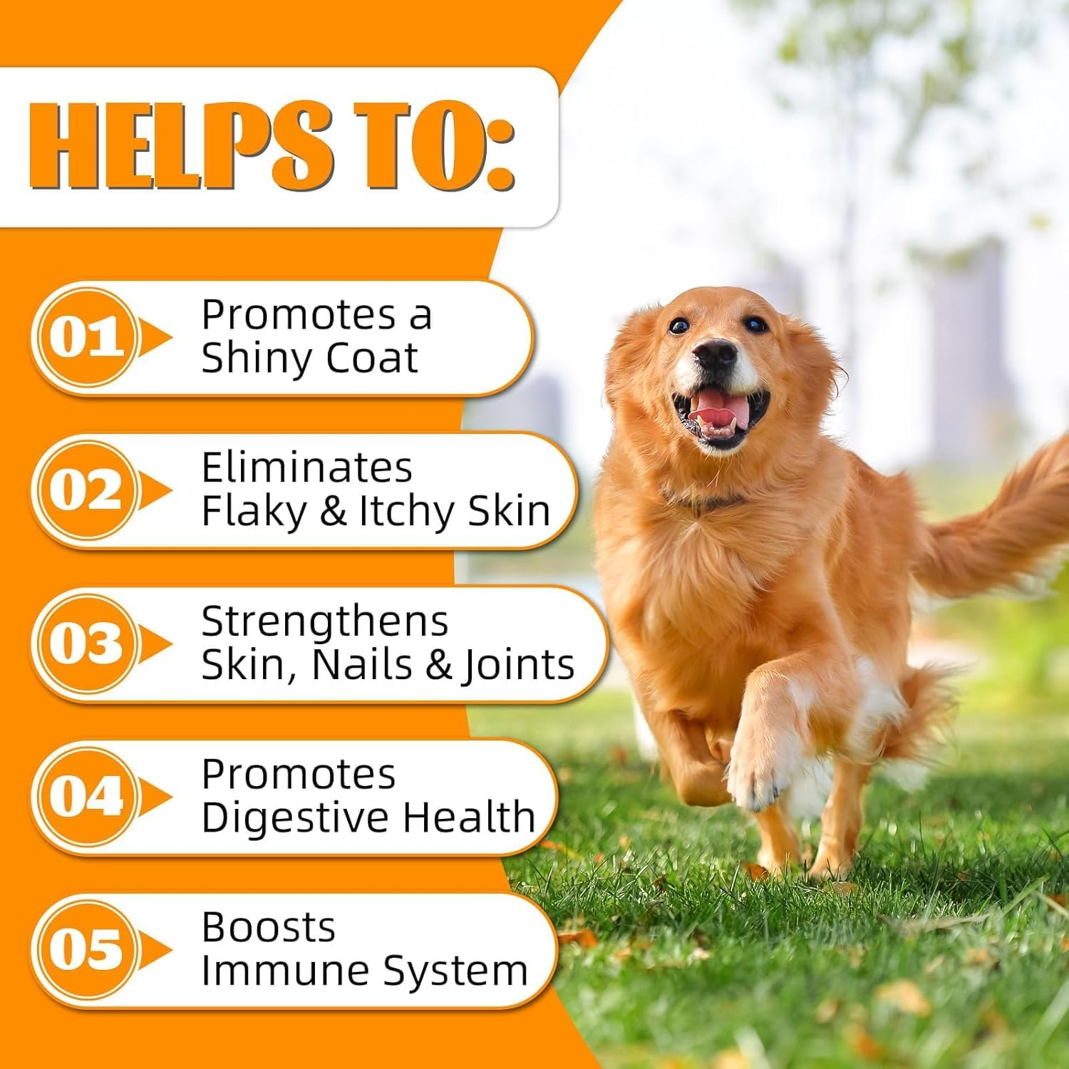 Liquid Collagen for Dogs with Biotin, MSM & Ginger - Supports Joint Health, Skin & Coat, Digestion & Immunity | Itch Relief & Shiny Coat Supplement | Easy-To-Use Drops (60Ml) image number 5
