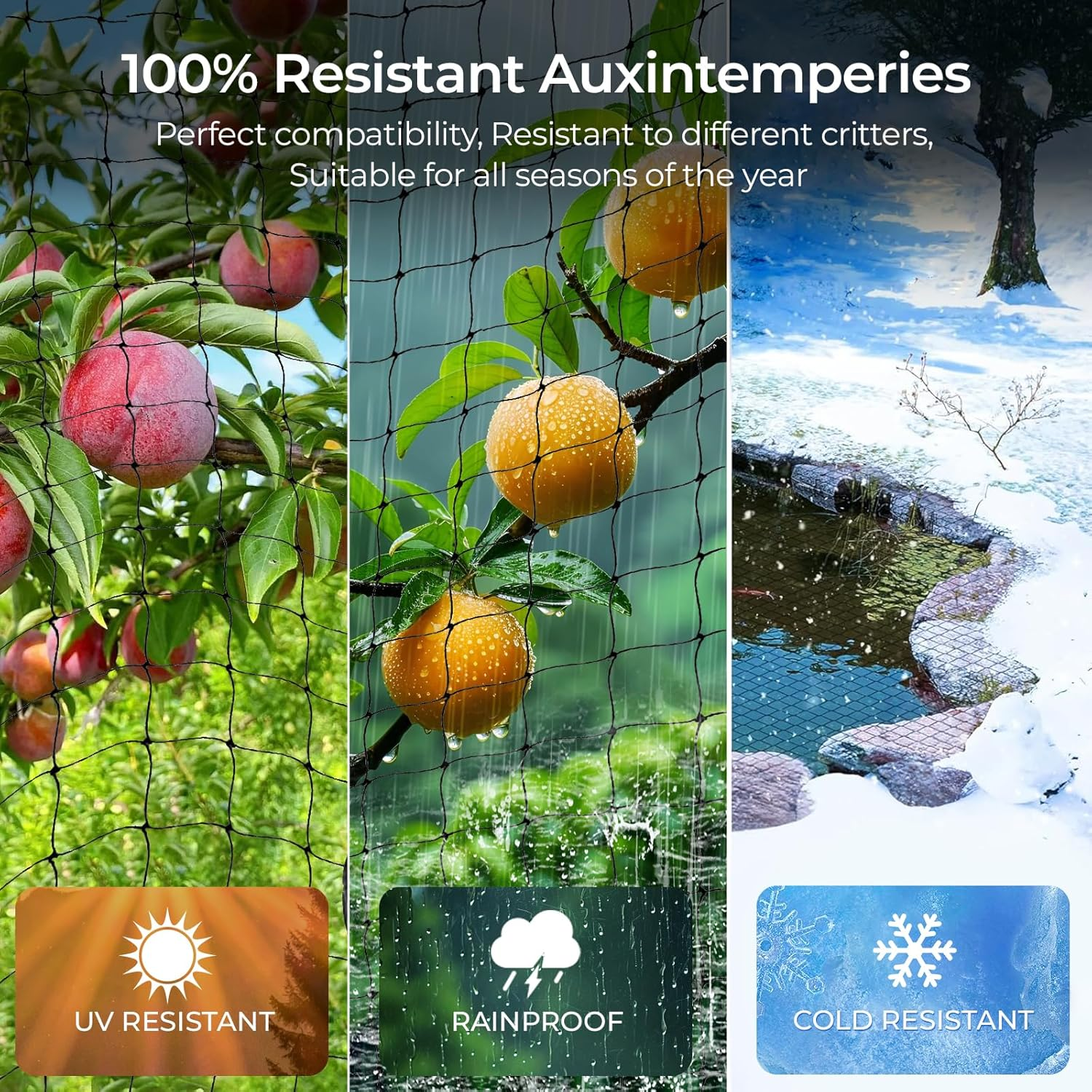 10 M X 10 M Bird Protection Net, Bird Net, Black, Tear-Resistant Plant Net for Chicken Enclosures, Aviary Net for Protects Fruit Trees and Vegetables from Bird Eating (Mesh Size 2.5 X 2.5 image number 5