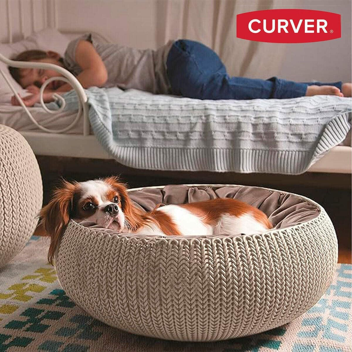 Curver Plastic Bed for Pets,, Plastic, Light Brown, 54 X 54 X Cm image number 3