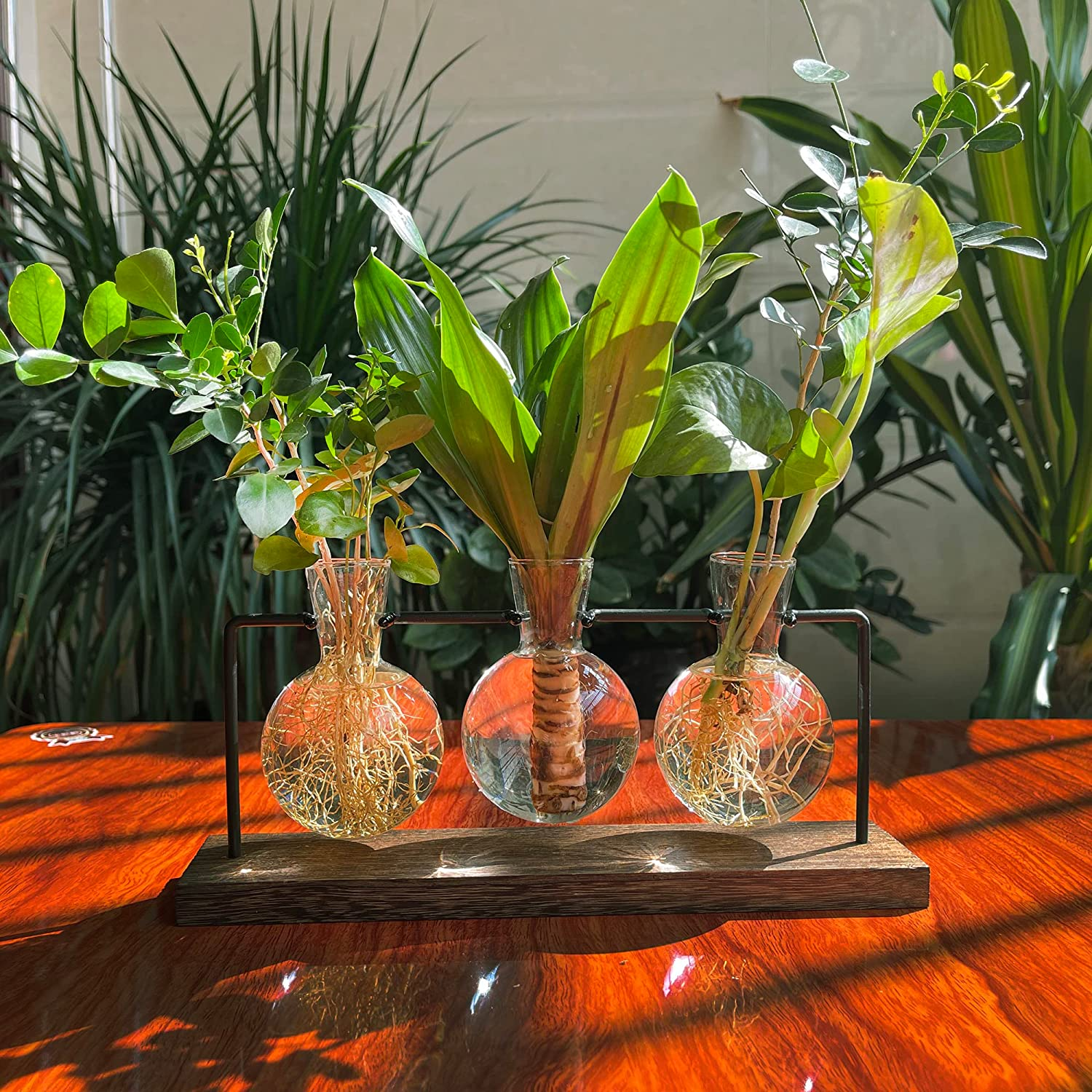 Plant Stand, 3Pcs Bulb Vases Wooden Stand, Terrarium Glass Planter for Hydroponic Plant, Christmas Home Decor (3 Bulb Vase, Brown)