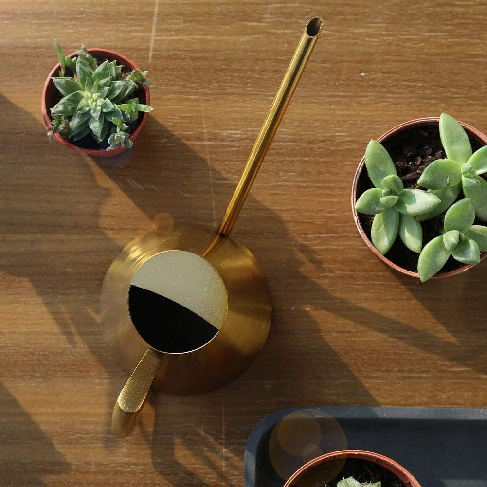 Stainless Steel Watering Can Sprinkle Pot Mouth Garden Flowers Plants Flower Tool (900Ml)