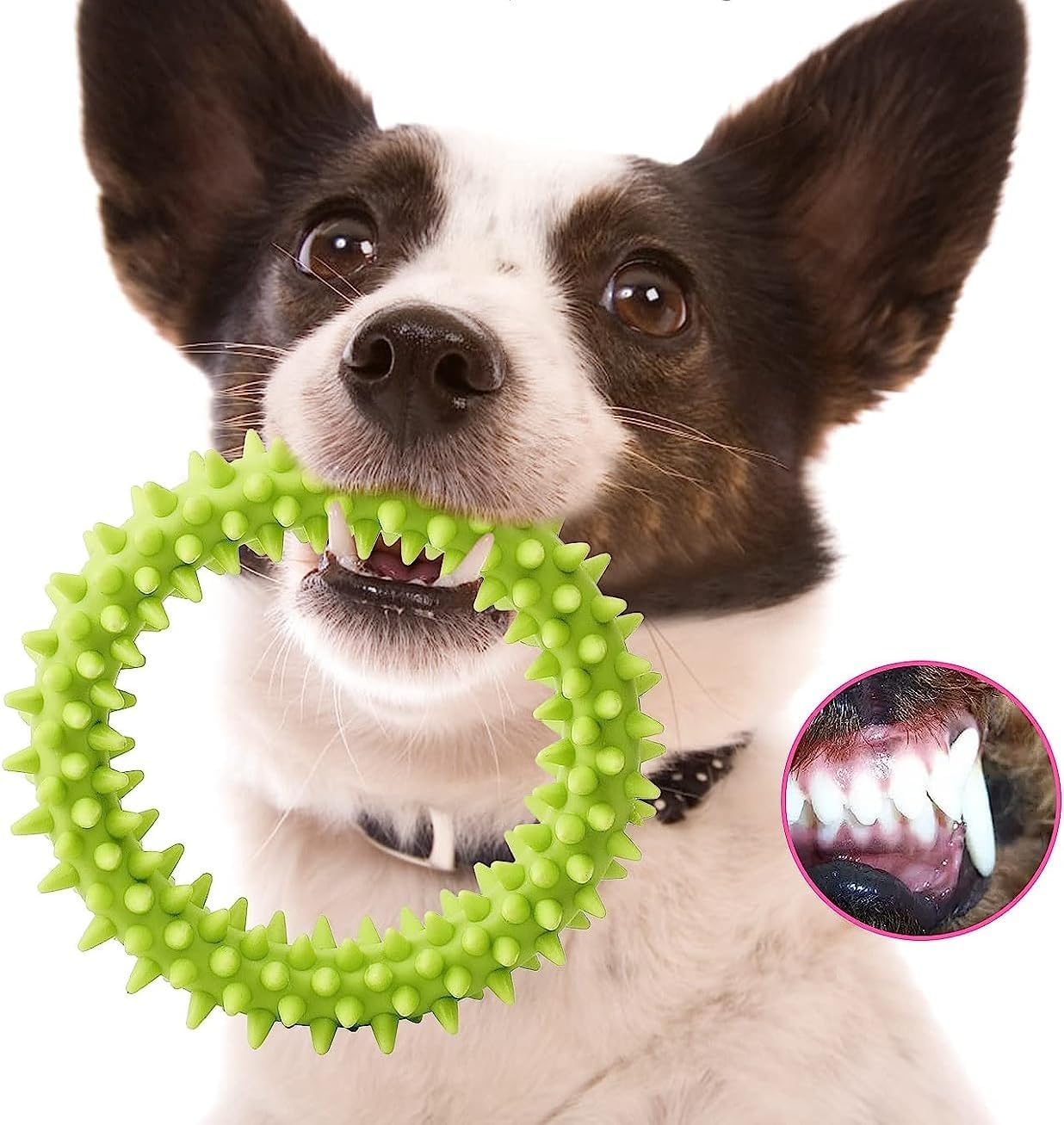 KOMUNJ 3 Pieces 360&deg; Clean Pet Teeth and Soothing Itching Small Dogs Puppy Toy Ring Rubber Dog Chew Toy Oral Health Puppy Interactive image number 2