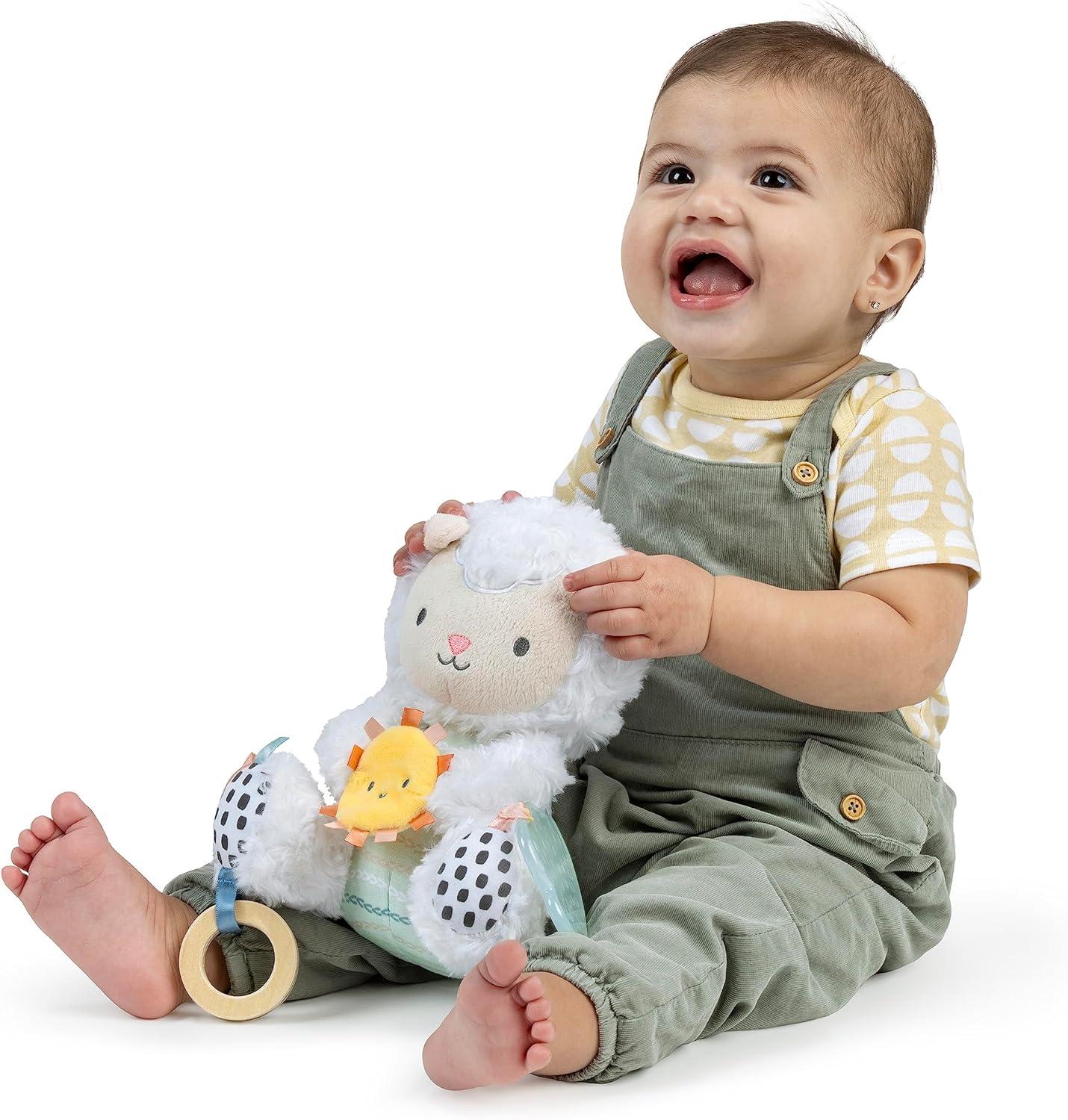 Ingenuity Calm Springs Plush Activity Pal Bpa-Free Cloud Teether, Multi-Texture Fabrics, Sheppy image number 5