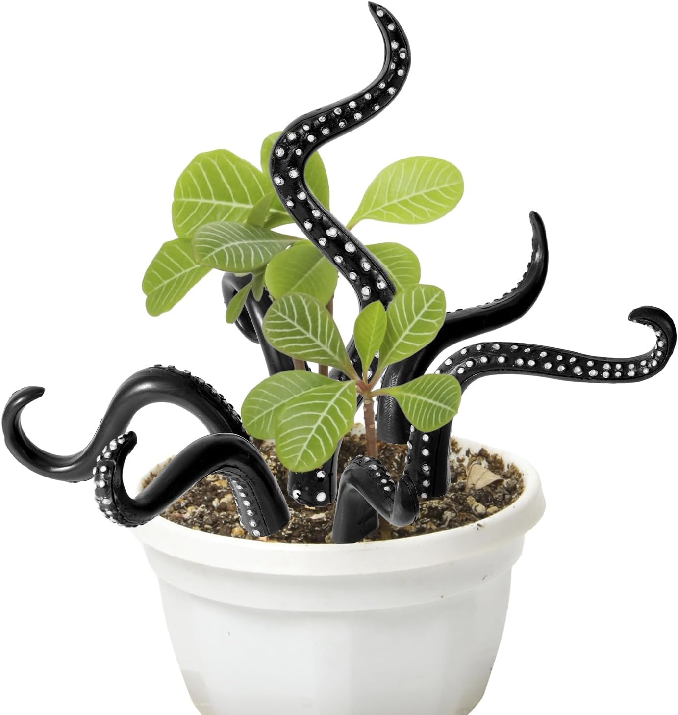 7Pcs Octopus Tentacle Plant Stakes, Various Shapes Glow in the Dark Octopus Leg Stakes Evil Decorative Garden Stakes for Potted Plants Indoor Outdoor Plant Lover Decoration(Red)