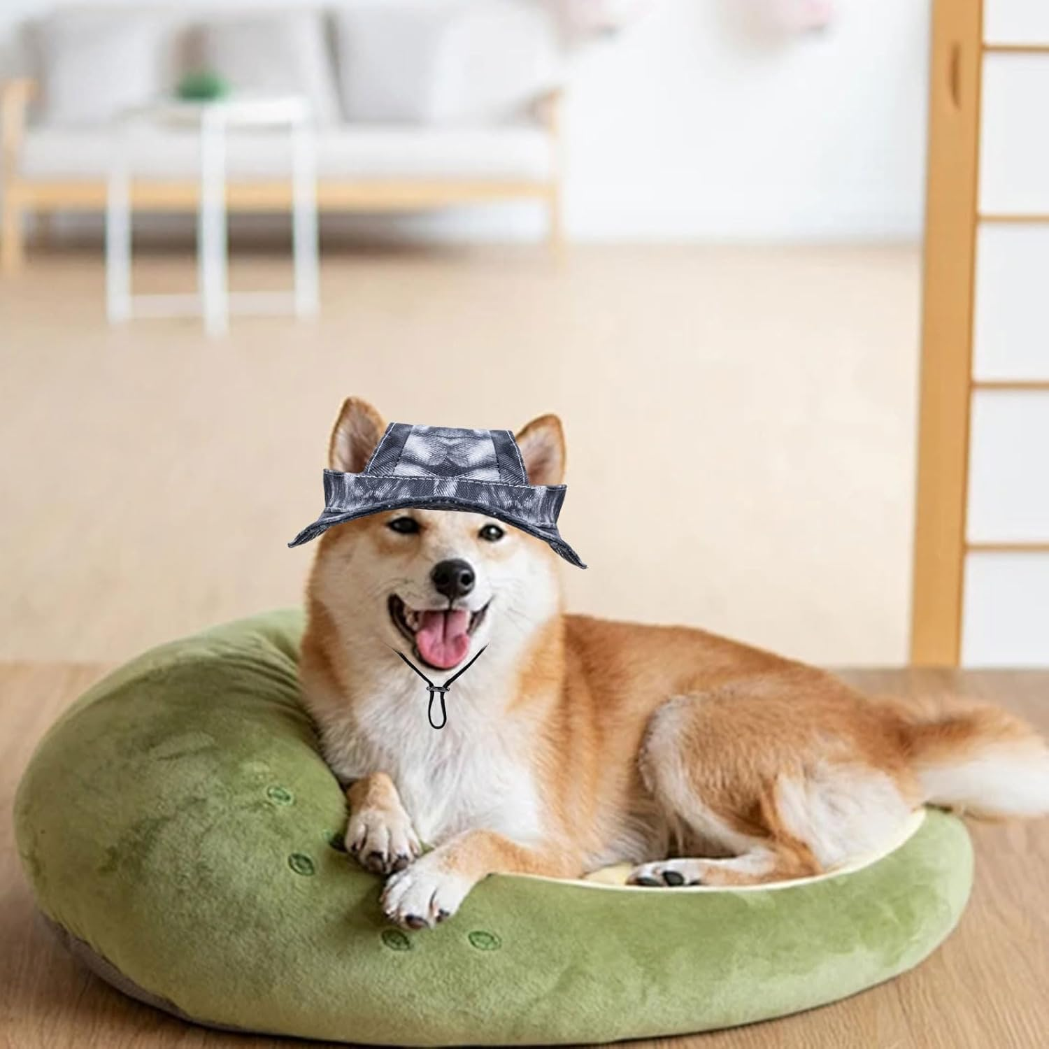 Dog Sun Hat,1Pc Adjustable Princess Dog Bucket Hat with Ear Holes,Round Brim Dogs Visor Cap Pet Fisherman Hat for Pupies Small Dogs Cat Outdoor Sport (Black, Small)