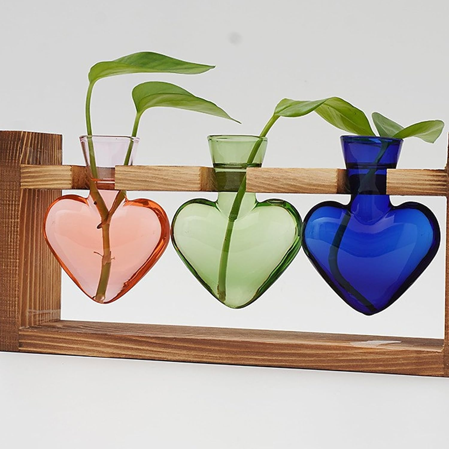 Propagation Vases for Plants - Glass Vase Heart Shape Propagation Station | Gardening Supplies, Tabletop Planter with Wooden Stand, Flower Vase, Garden Decor Terrarium image number 6