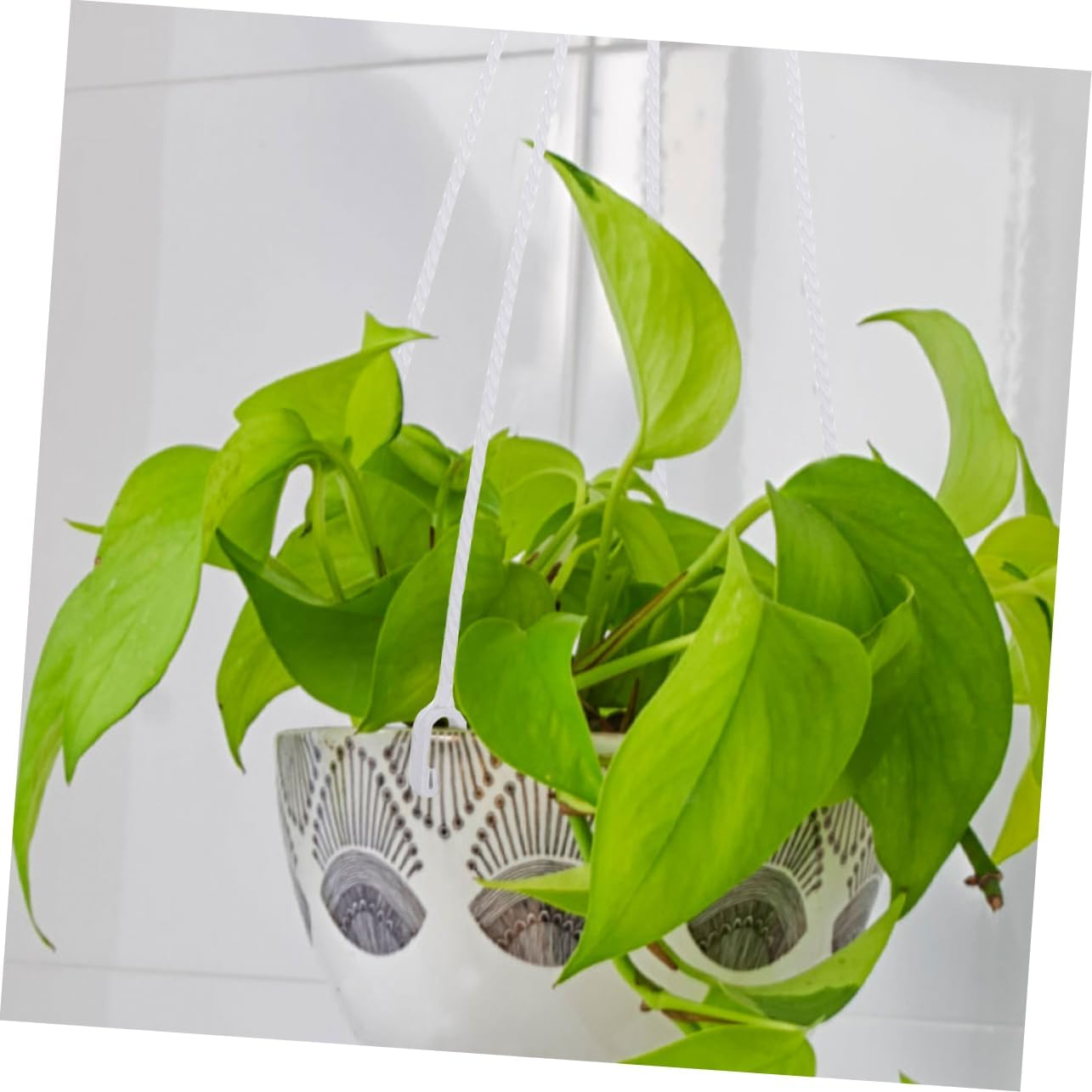 Kisangel 10Pcs Hanging Basket Hooks Resin Plant Pot Hangers for outside Plants Sturdy and Portable Hanging Flowerpot Hooks for Garden Pots and Gardening Supplies image number 3