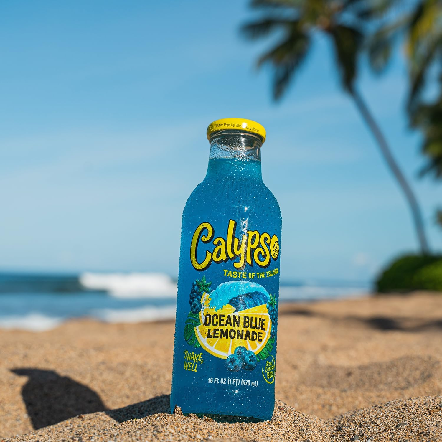 Calypso Ocean Blue Lemonade Drink 473 Ml (Pack of 12) image number 6