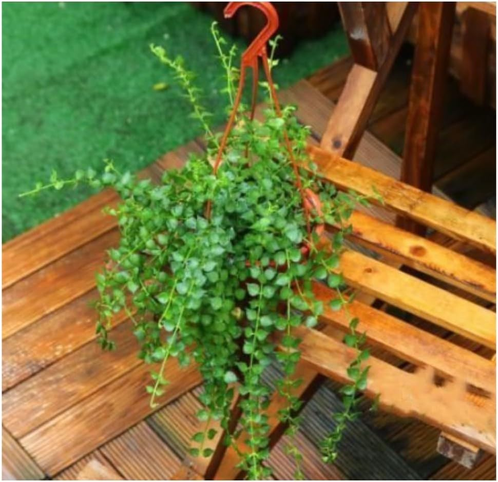 FUNNTY 10PCS Hanging Planters, Hanging Plant Containers with Drainage Holes and Hooks for a Home Garden Balcony Porch (Brown)