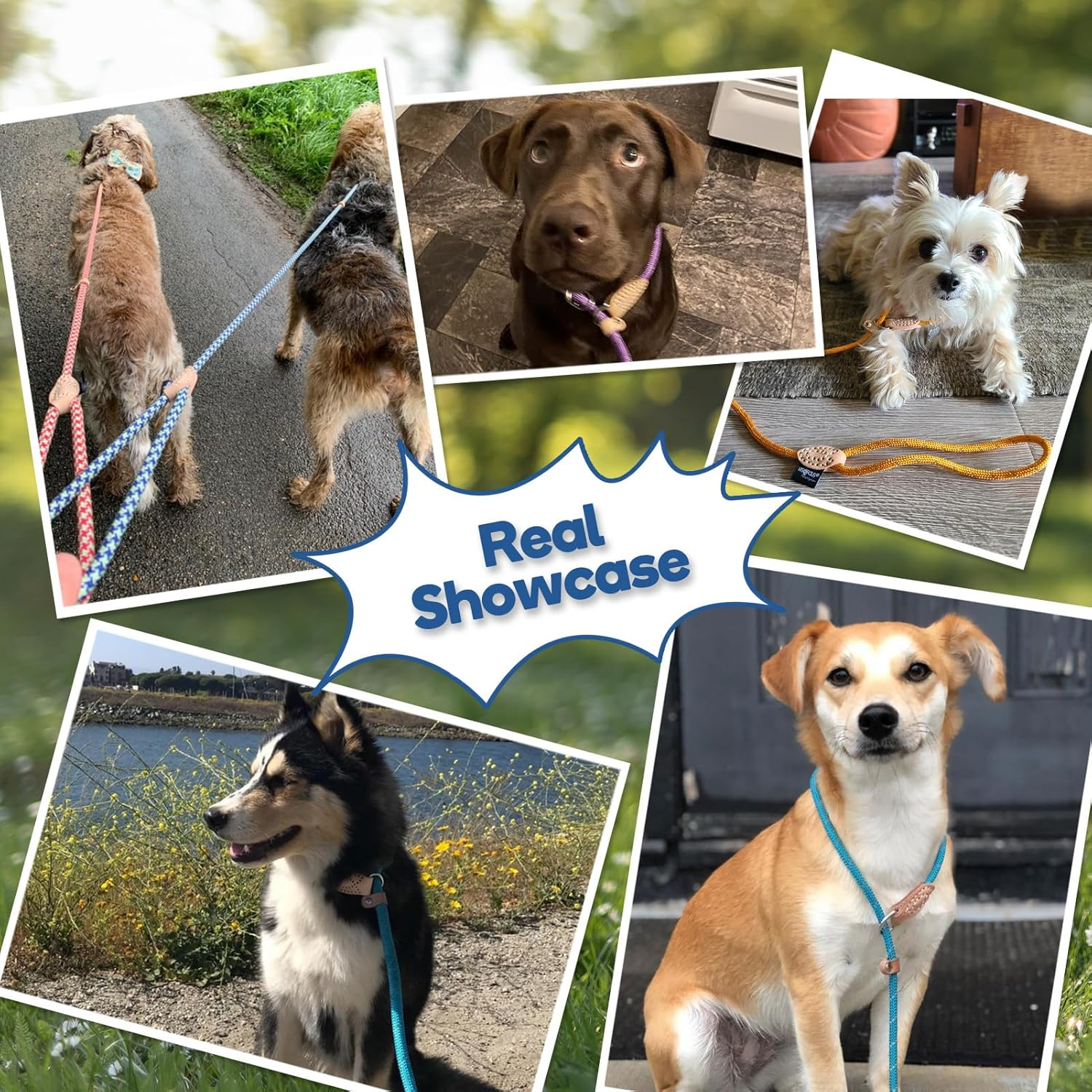 Grand Line Reflective Climbing Rope Slip Lead Pets Leash for Small, Medium, Large and Extra Heavy Dogs and Cats - 5 Ft Long image number 3