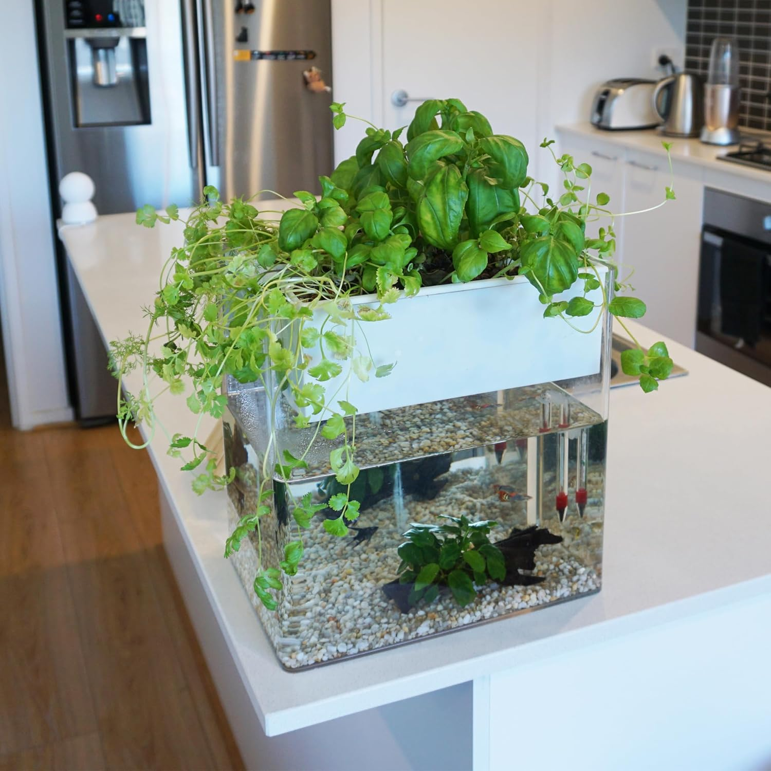 Naturepon Fish Garden Aquaponics Kit - Self-Cleaning Aquarium with Automatic Watering for Organic Herbs, Fruits, and Vegetables - Sustainable Greenhouse Indoor Gardening for Families and Kids image number 5