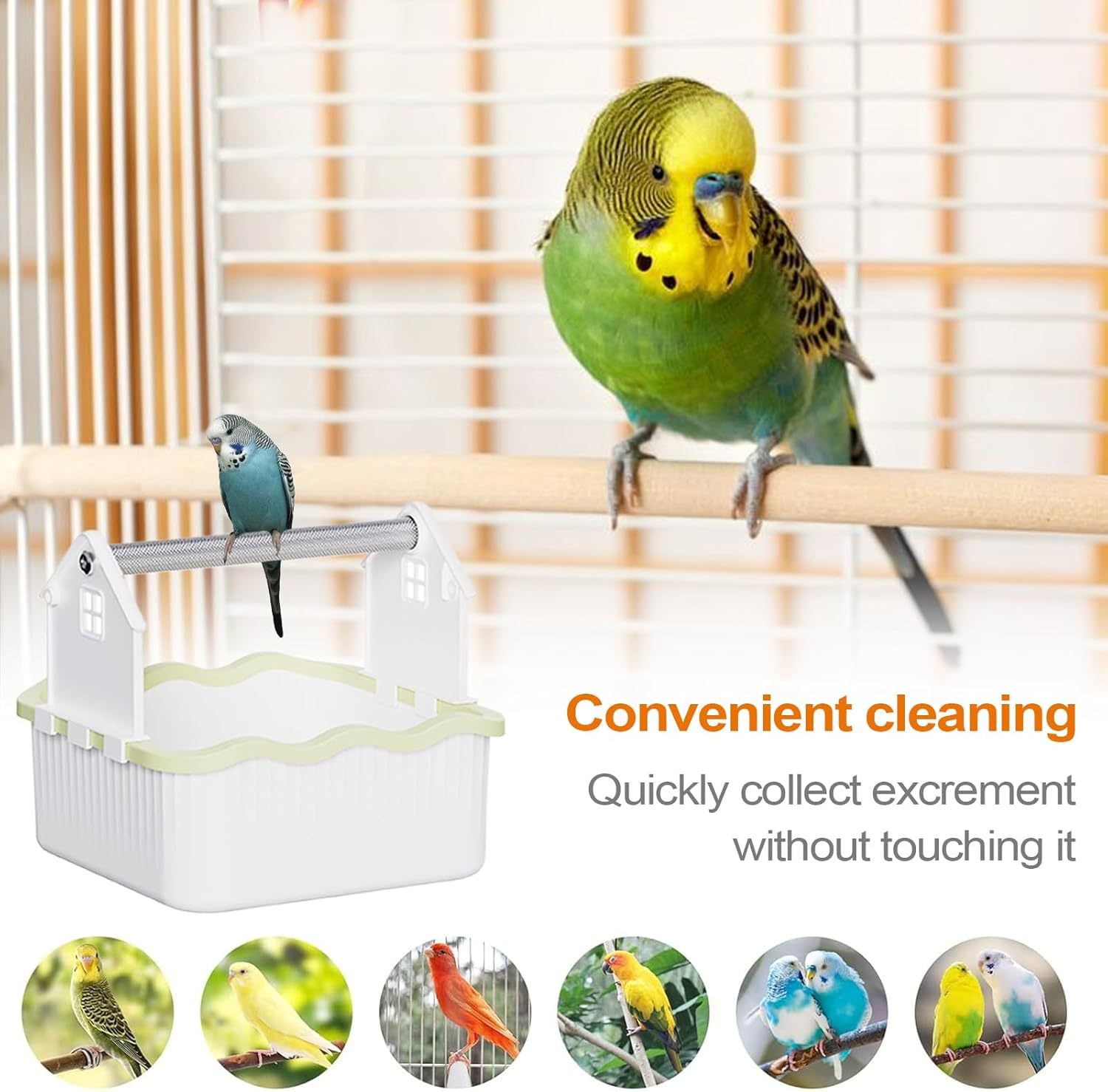 Bird Perch Stand - Parrot Exercise Play Perch,Interactive Bird Desktop Playground Playpen for Parrots Parakeets Conures Lovebirds Budgies image number 6