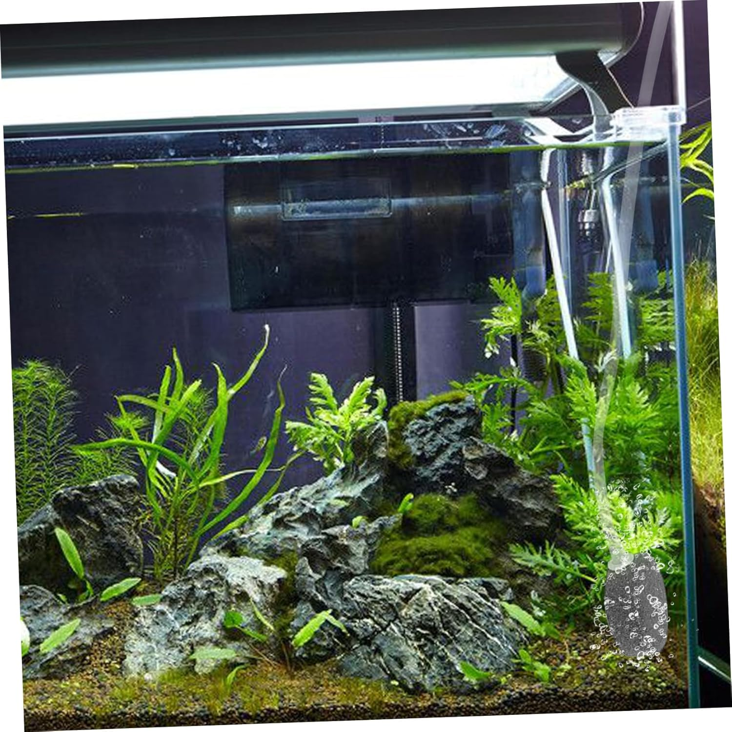 Angoily 1Set Usb Air Pump for Fish Tanks Portable Aquarium Oxygen Pump Air Tube Quiet and Efficient for Aquatic Plants and Pet Fish for Home and Outdoor Use image number 2