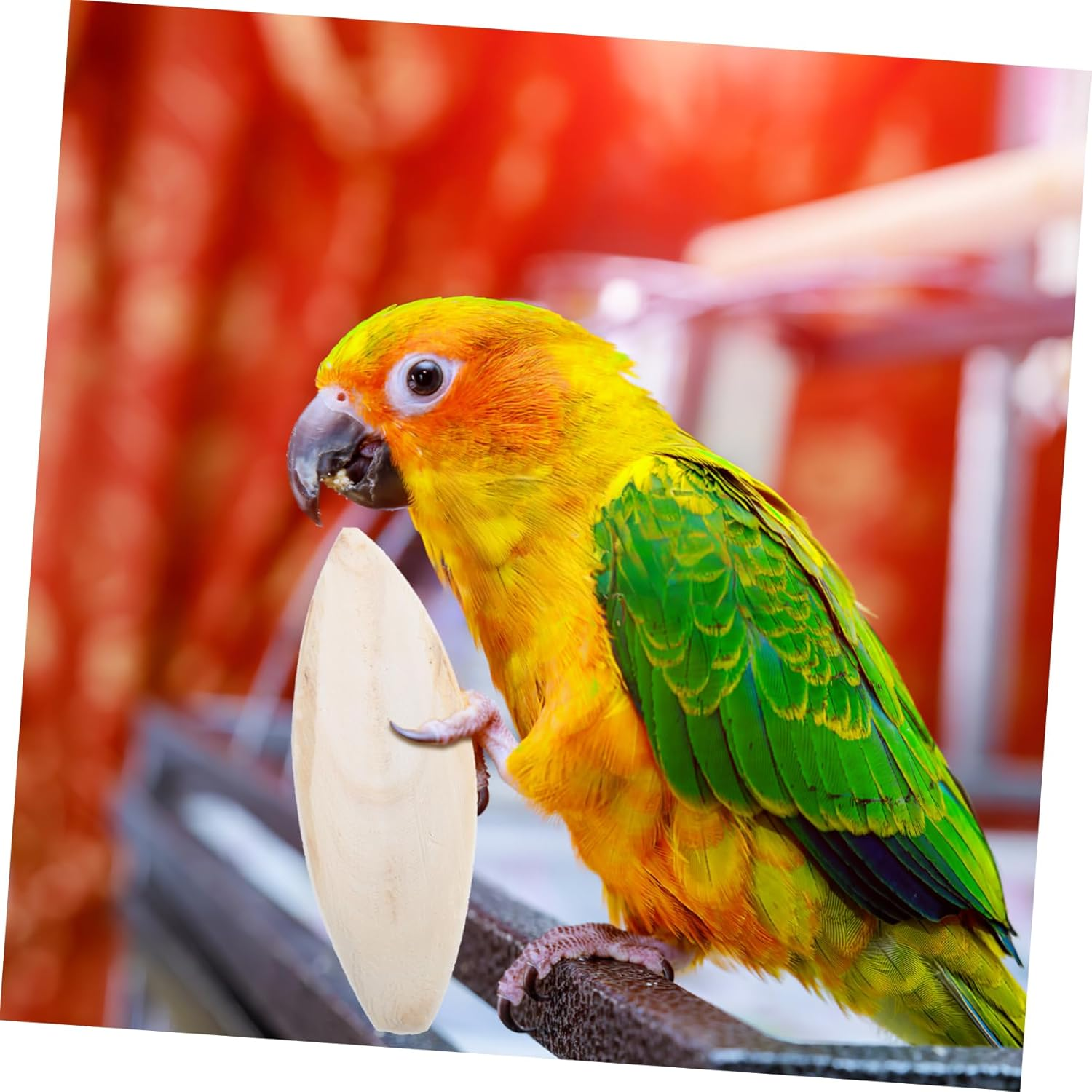 Luxshiny 6 Pcs Natural Cuttlefish Bone Chewing for Birds Safe Polished Bird Cage Accessories for Cockatiels Parrots Promotes Healthy Beak Development image number 2