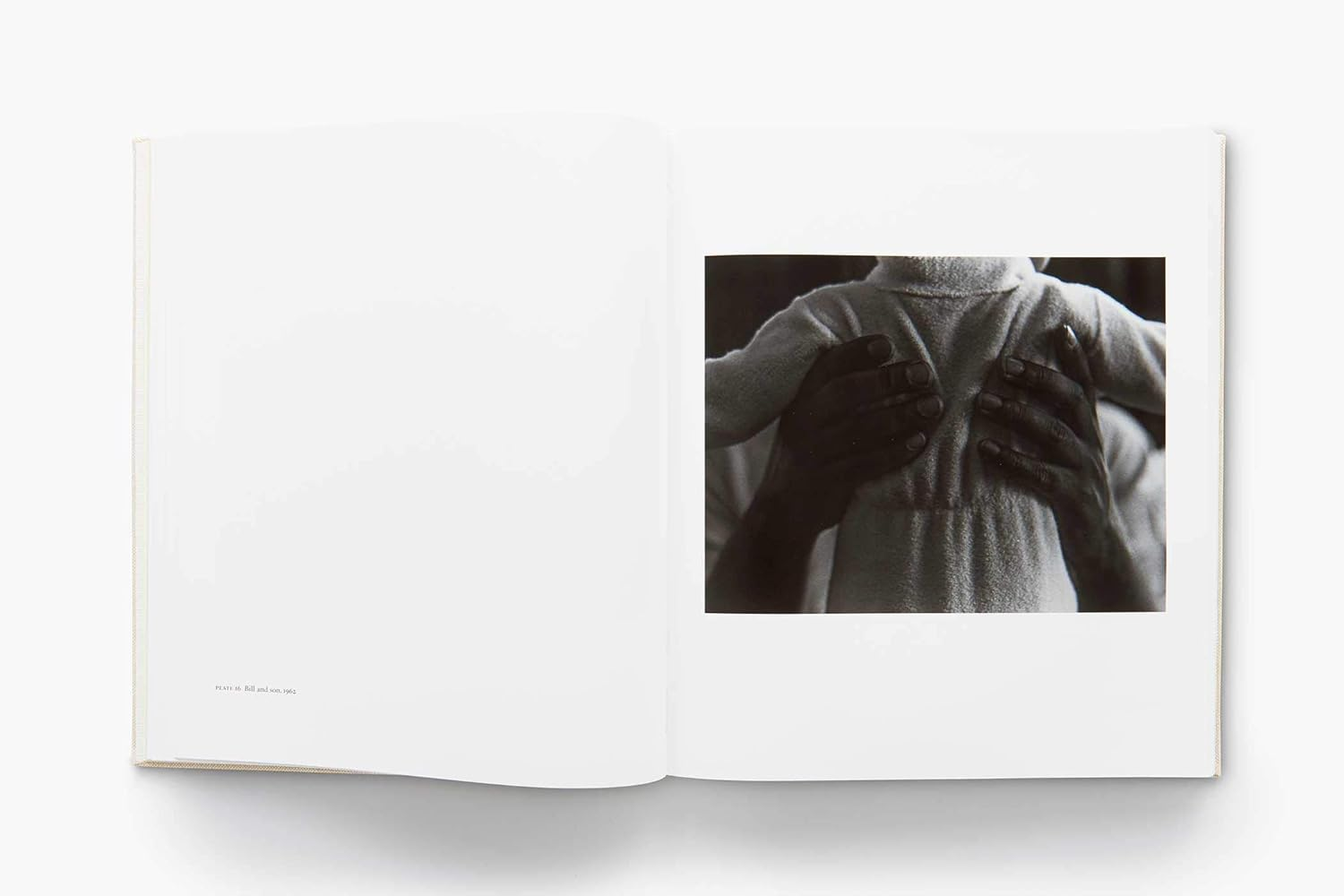 Roy Decarava: Light Break image number 4