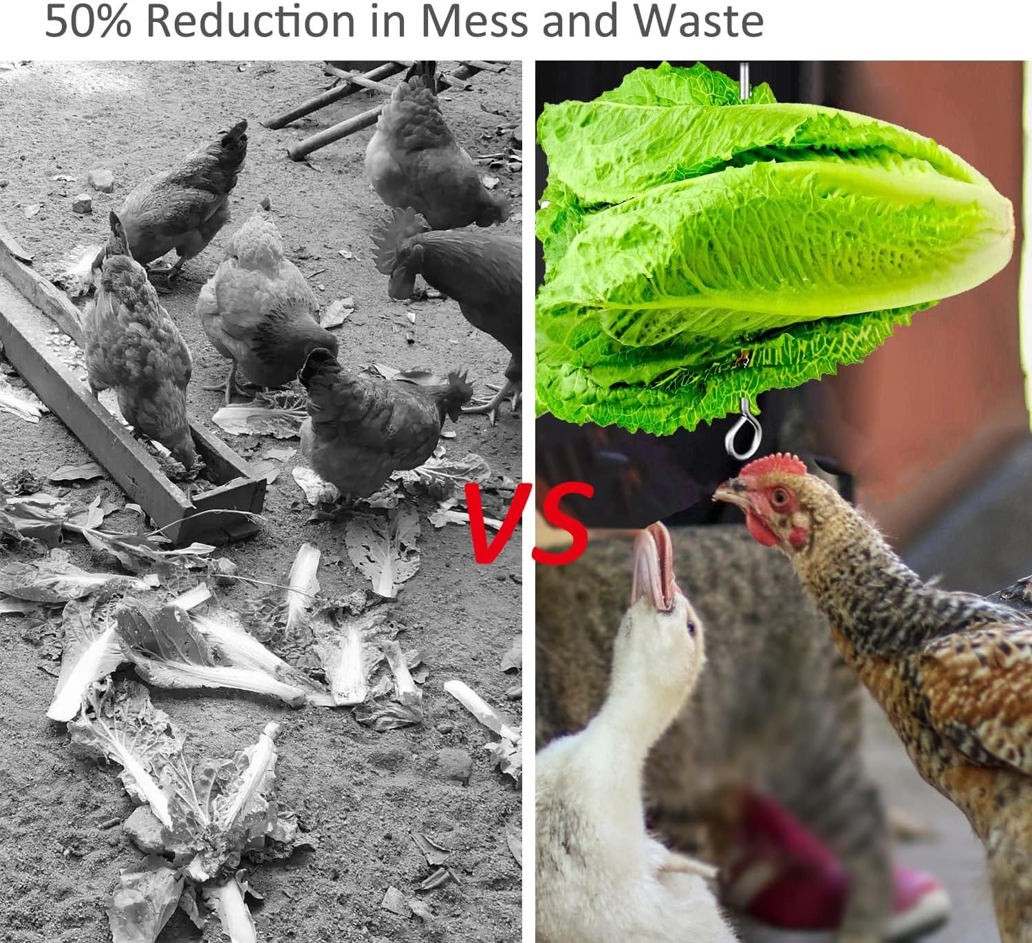 Chicken Vegetable Hanging Feeder Toy for Hens Pet Chicken Veggies Skewer Fruit Holder for Hens Large Bird image number 6