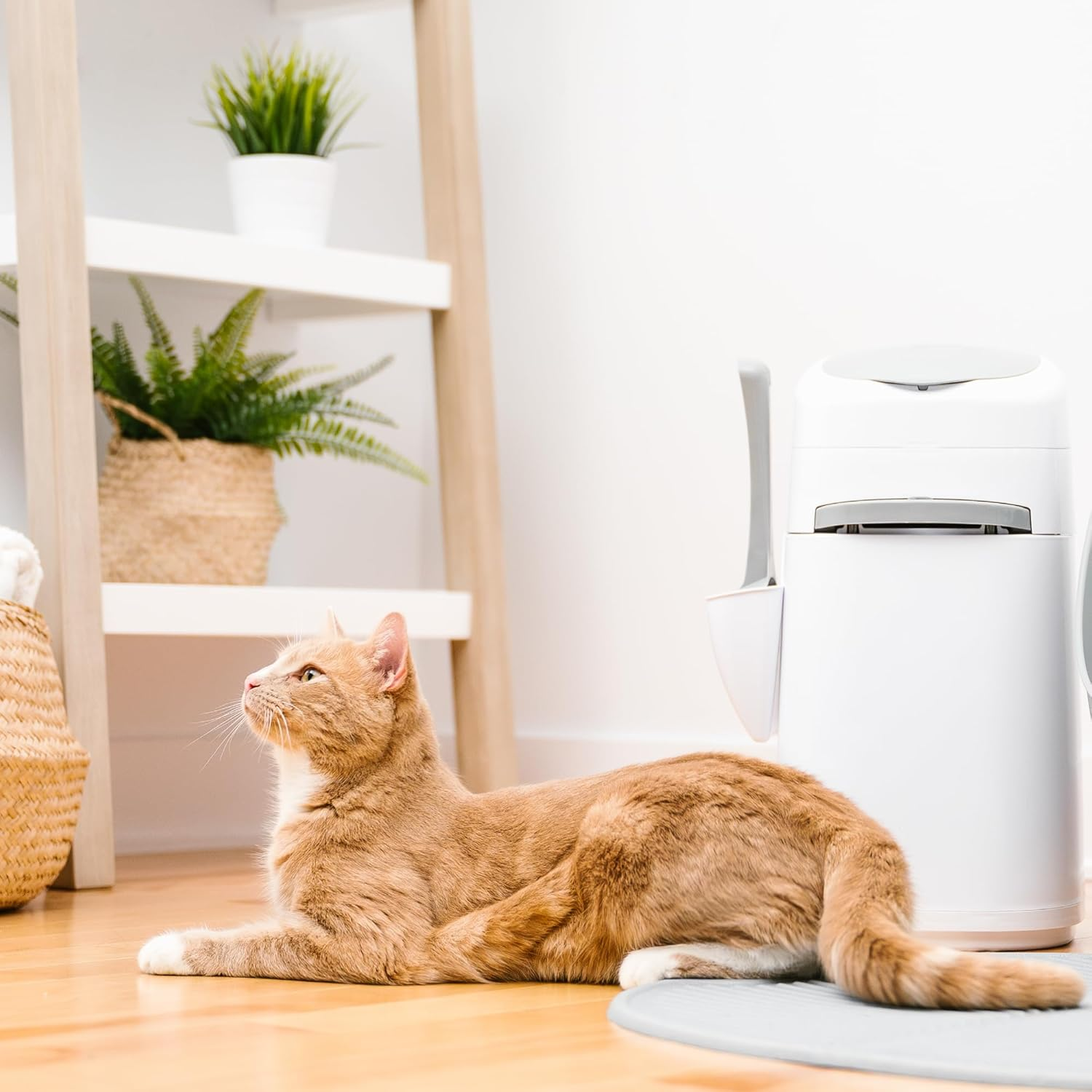 Litter Genie Style Pail |Cat Litter Waste Disposal System for Odor Control | Includes 1 Square Refill Bag image number 2