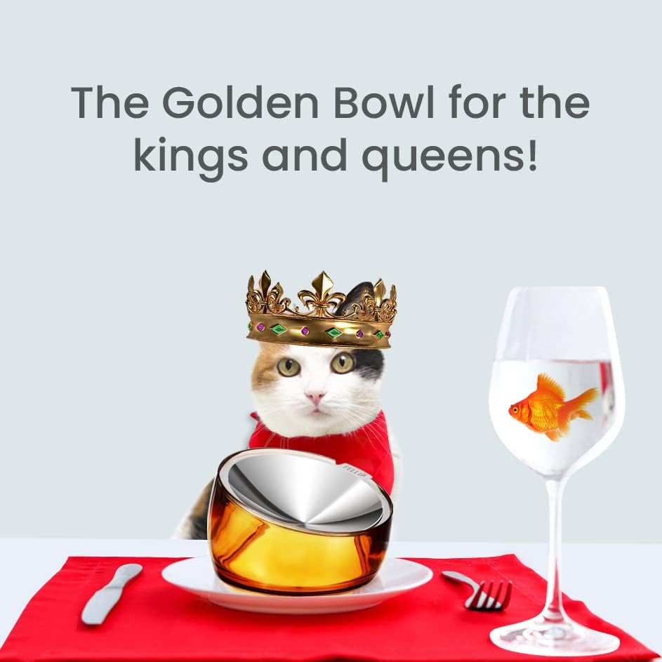 Felli Pet Whisker Stress Friendly Raised Angled Cat Wet Food Bowl Stainless Steel Shallow Dish Tilted, anti Vomit, Slanted Feeding Plate Metal Elevated Acrylic Flat Faced Dog (0.5 Cups, Gold)