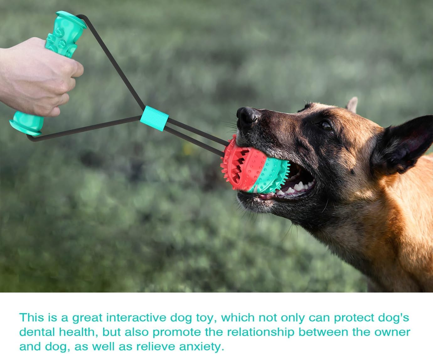 Interactive Dog Toy for Aggressive Chewers, Puzzle Treat Food Dispensing Ball Toy,Dog Toy Tug of War Serrated Molar Stick image number 4