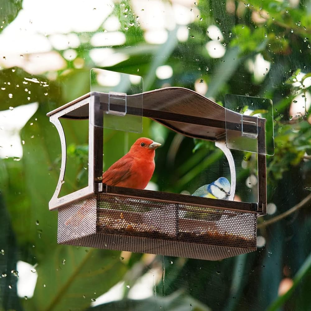 Upgraded Window Bird Feeder with Strong Suction Cups &ndash; Durable Metal Outdoor Bird Feeder for Birdwatching, Cat Entertainment & Nature Lovers &ndash; Easy-To-Clean, Shatterproof Design