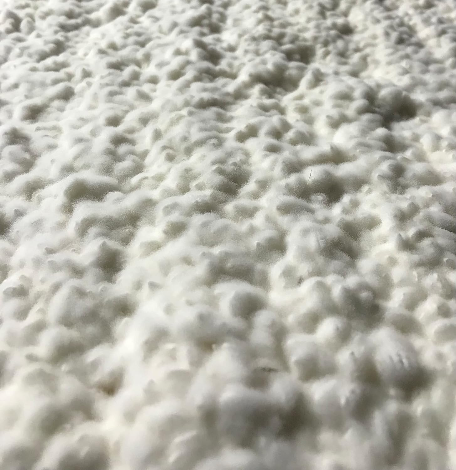 Hishiroku Koji Starter Spores Powder | Made in Japan | Yummy-Yamaguchi (0.7 Oz = 20G, (B) Improved Chohaku Kin (Very White)) image number 4