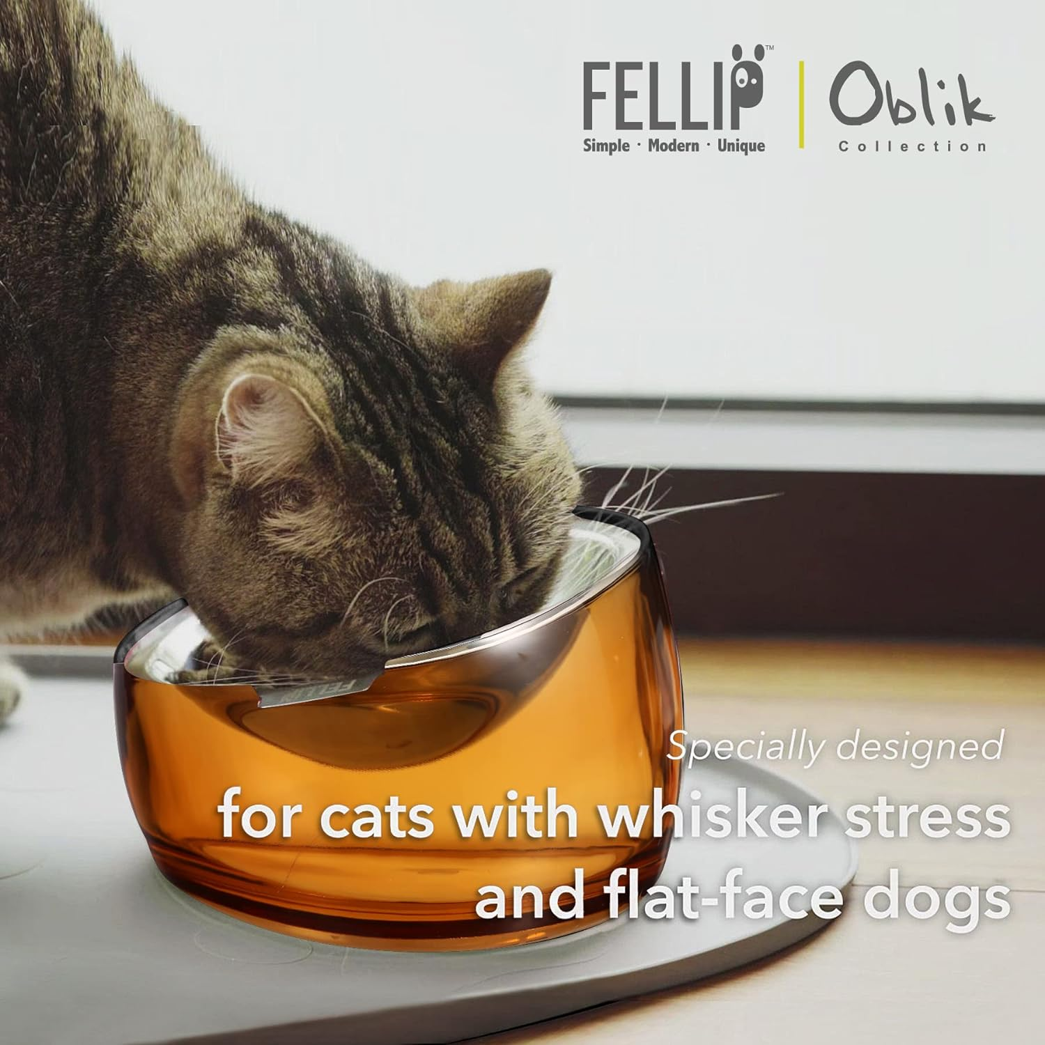 Felli Pet Whisker Stress Friendly Raised Angled Cat Wet Food Bowl Stainless Steel Shallow Dish Tilted, anti Vomit, Slanted Feeding Plate Metal Elevated Acrylic Flat Faced Dog (0.5 Cups, Gold) image number 2
