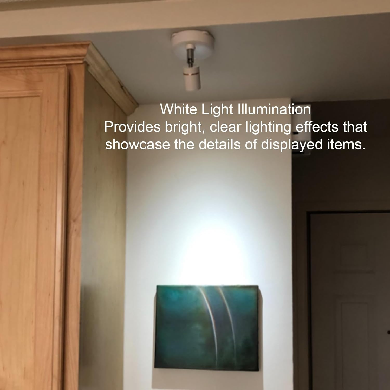 Depisuta 2 Pack Spotlights Indoor with Remote, Battery Powered Ceiling Decorative LED Spot Lights Accent Lighting, Display Lights for Plant Painting, Artwork, Wall Art image number 4