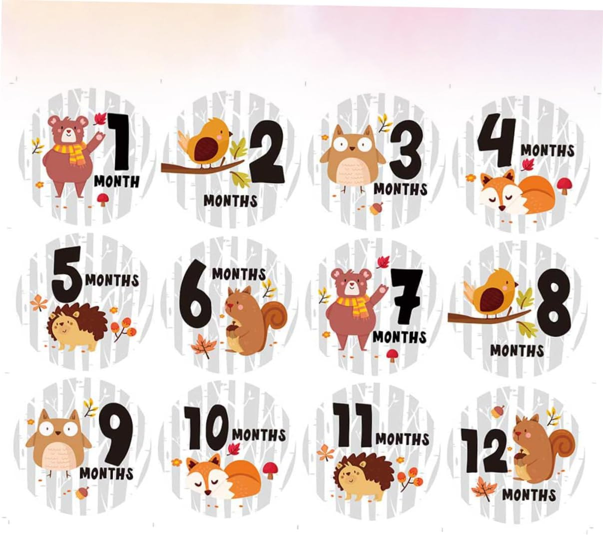 12Pcs Monthly Milestone Stickers for Newborns Self-Adhesive Stuff Gifts image number 4