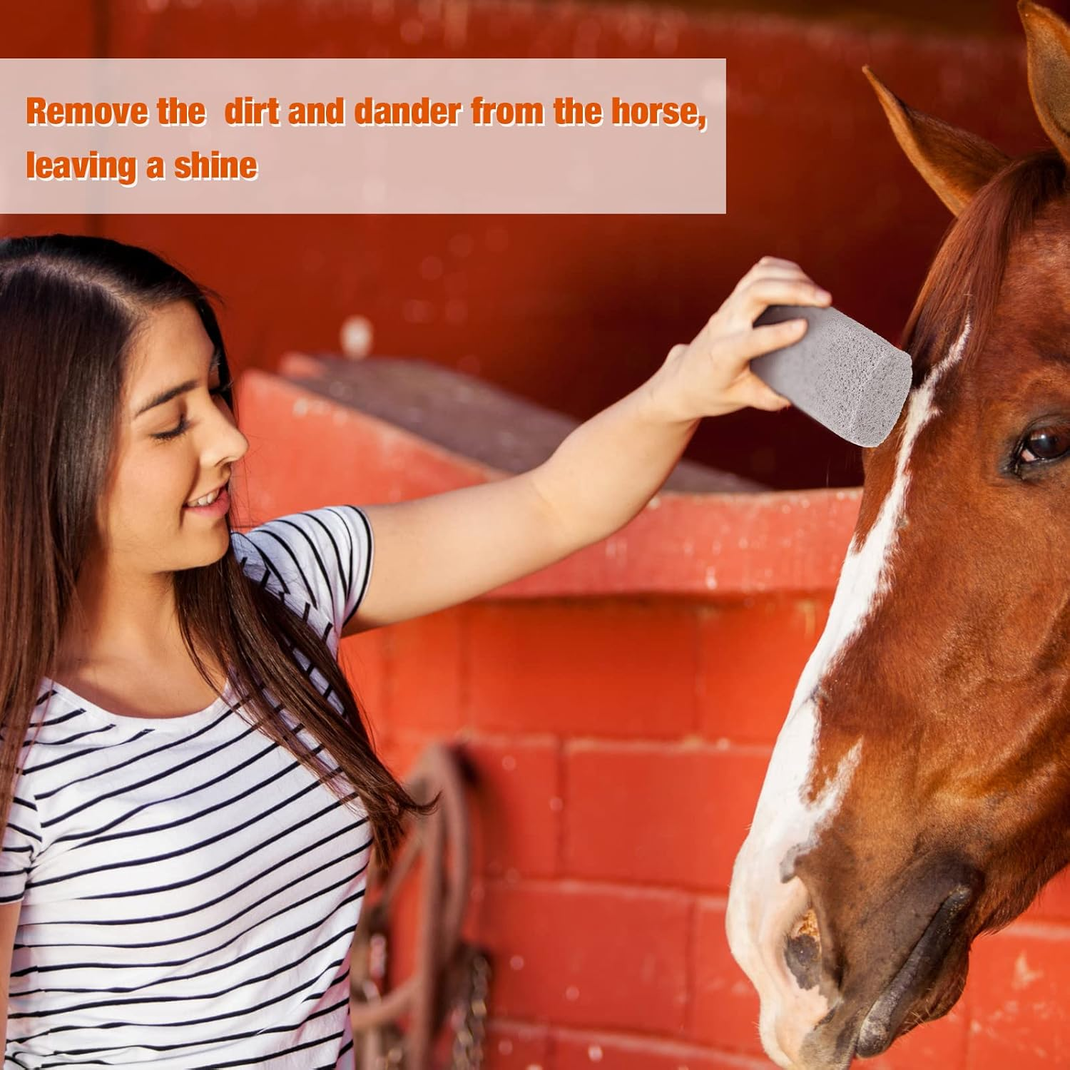 Xuniea 2 Pieces Pet Hair Remover for Cat Hair Removal Pumice Stone Tool Carpet Dog Fur Removal Tool for Car Couch Furniture Bedding Easy to Clean (4 Inches) image number 2