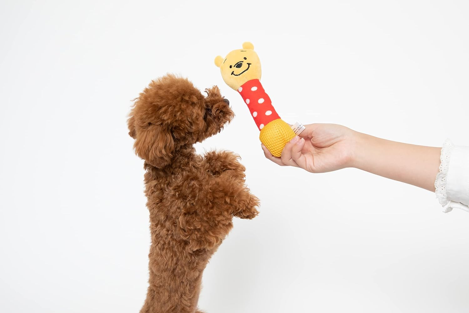 Disney Toy Pooh Carakara Toy for Dogs