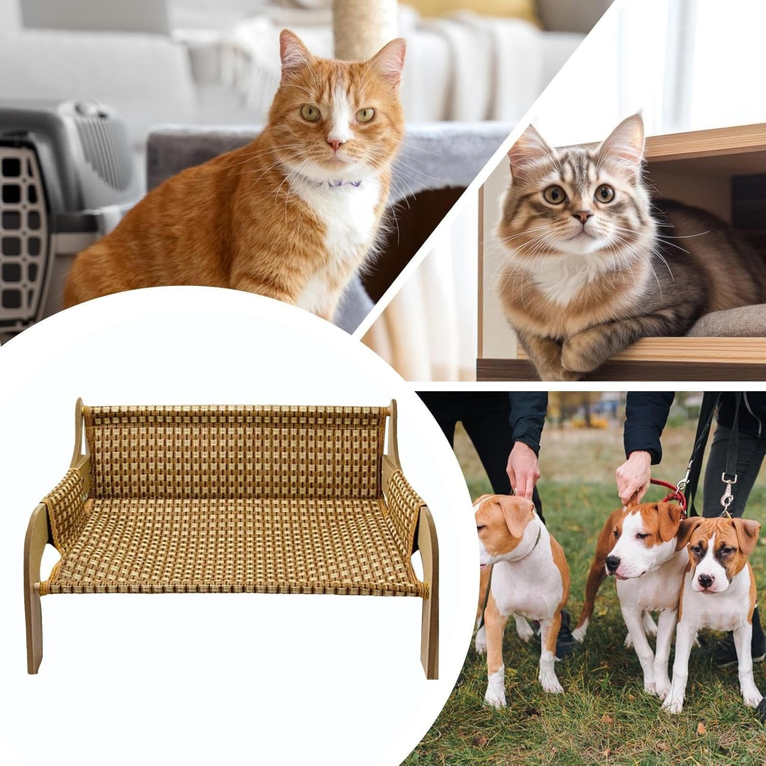 Lmyit Cat Hammock - Elevated Pet Sofa Cat Couch Bed - Raised Cooling Lounge Chair Pet Supplies Furniture for Living Room Bedroom Outdoor Indoor Pets Kitten Puppy Small Dogs image number 4
