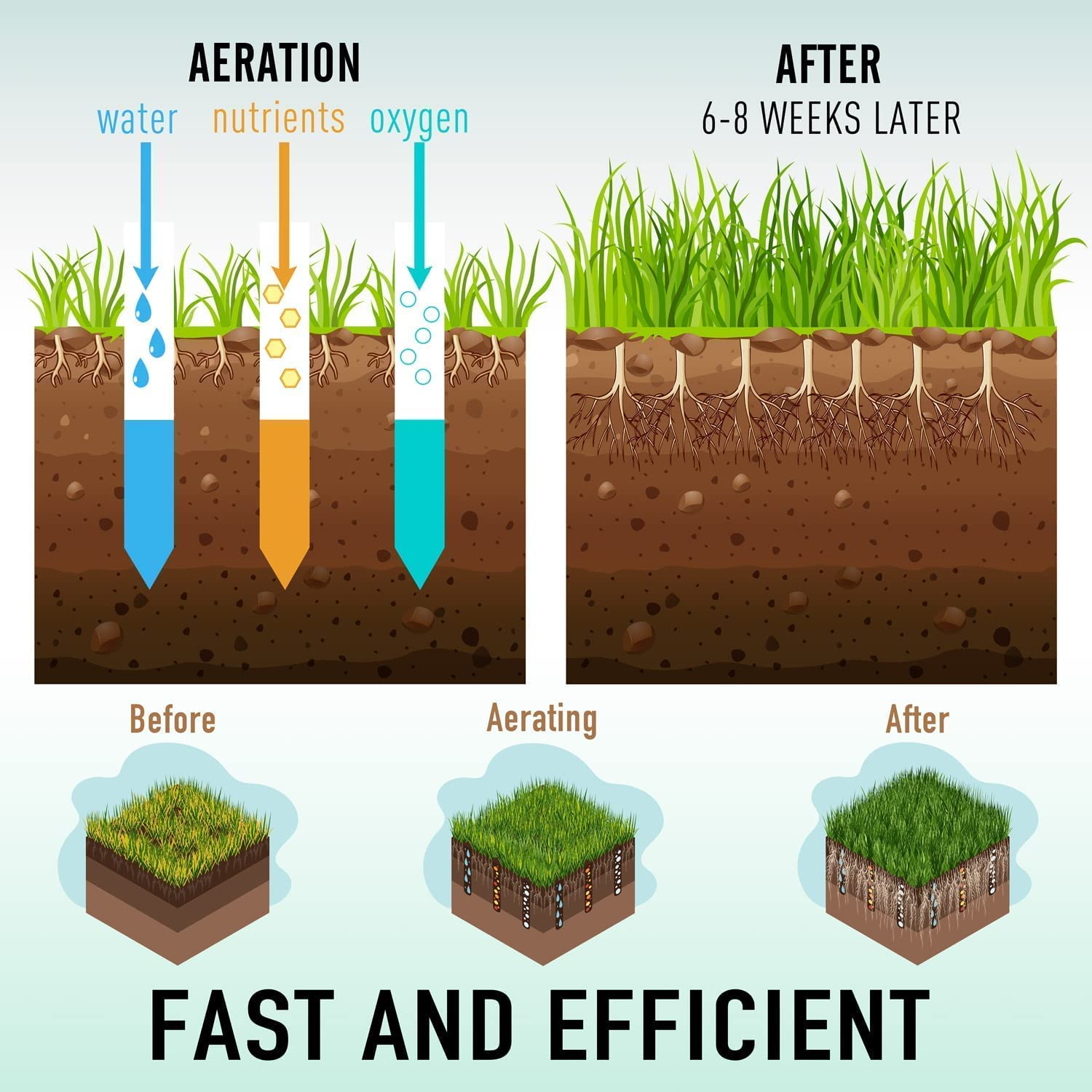 Colwelt Spike Lawn Aerator, Manual Aerator for Compacted Soils and Lawns, Non-Slip T-Handle Spike Aeration with Four 3.5-Inch Solid Steel Spikes, 38-Inch image number 4
