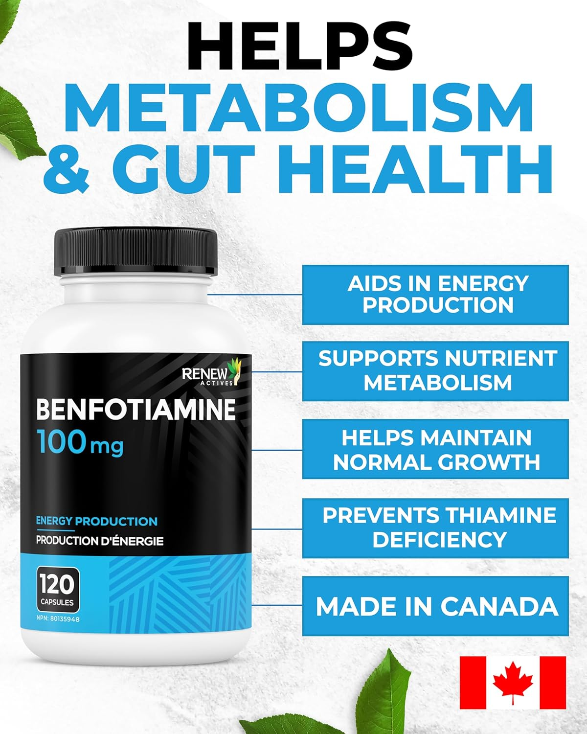 Renew Actives Benfotiamine &ndash; 60 Capsules for Daily Nutrient Support image number 5