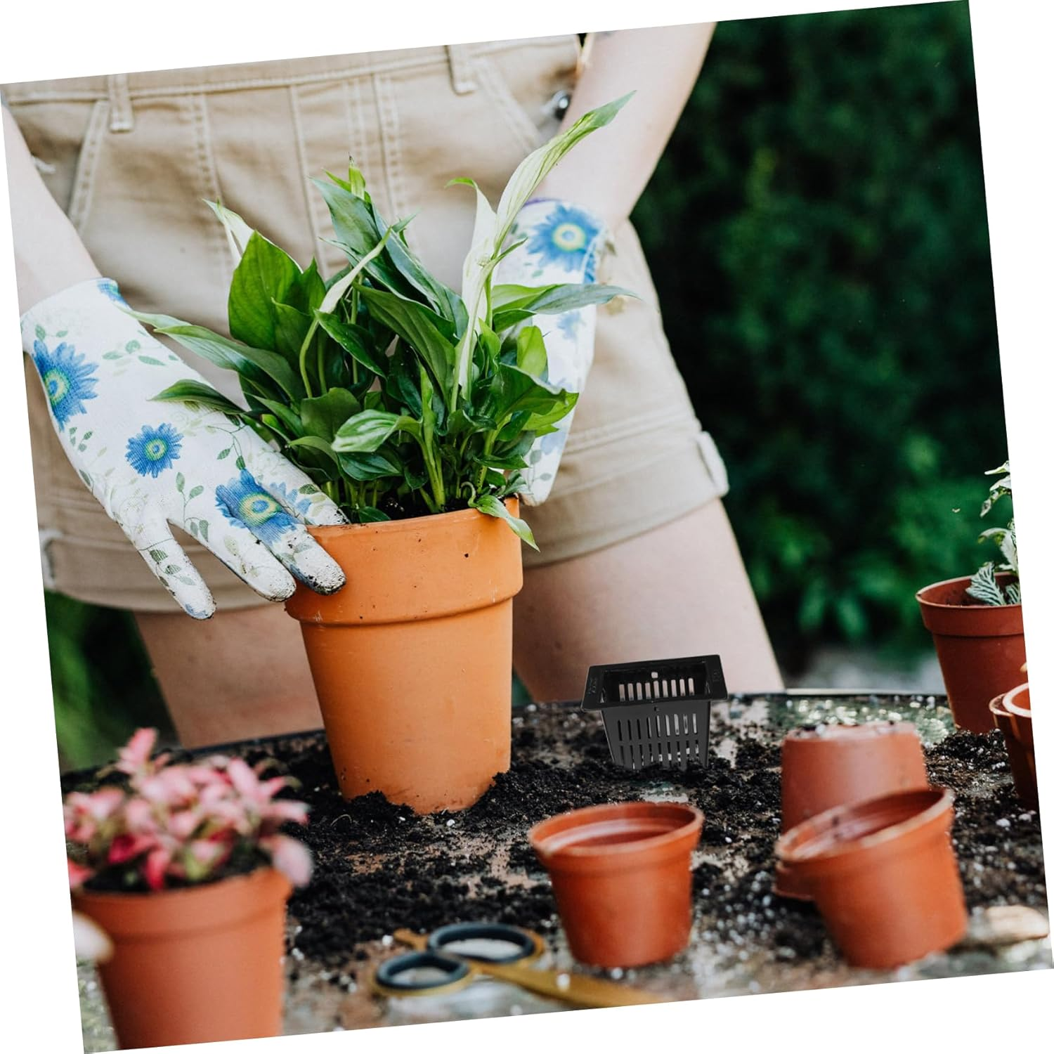 BEBEMOKO 12Pcs Black Square Hydroponic Planter Pots for Indoor and Outdoor Gardening, Plastic Mesh Net Nursery Containers for Succulents and Leafy Vegetables, Sturdy Filter Plant Cups image number 5