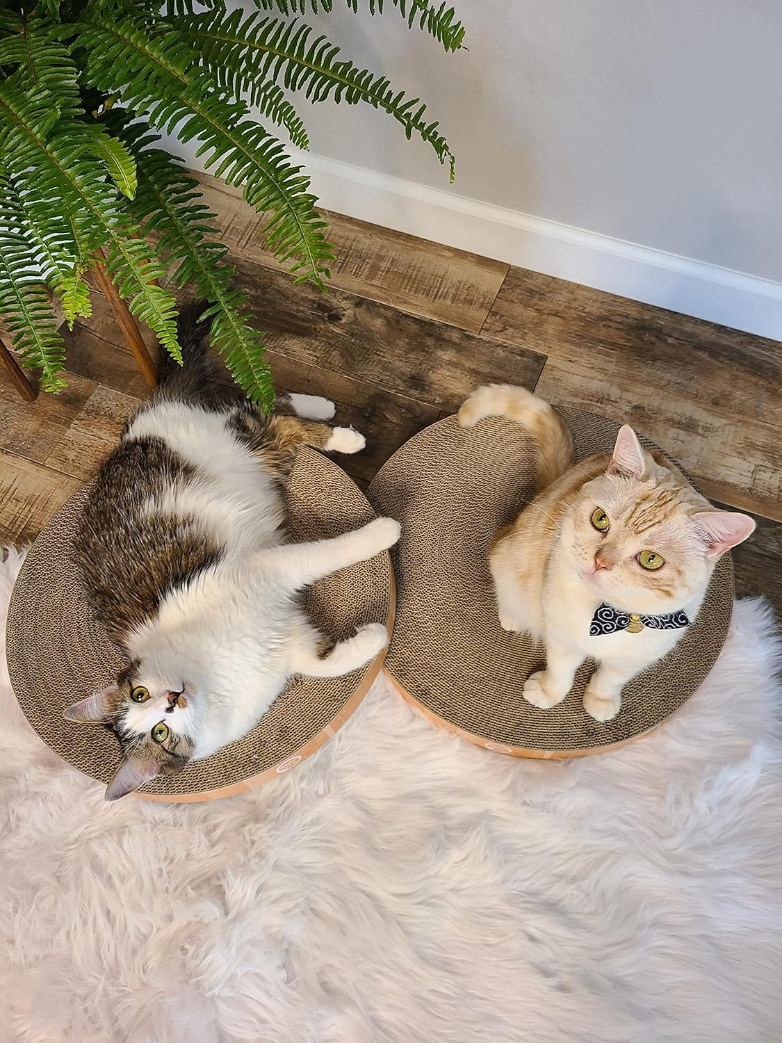 Necoichi Cozy Cat Scratcher Bowl (Pad2P) image number 6