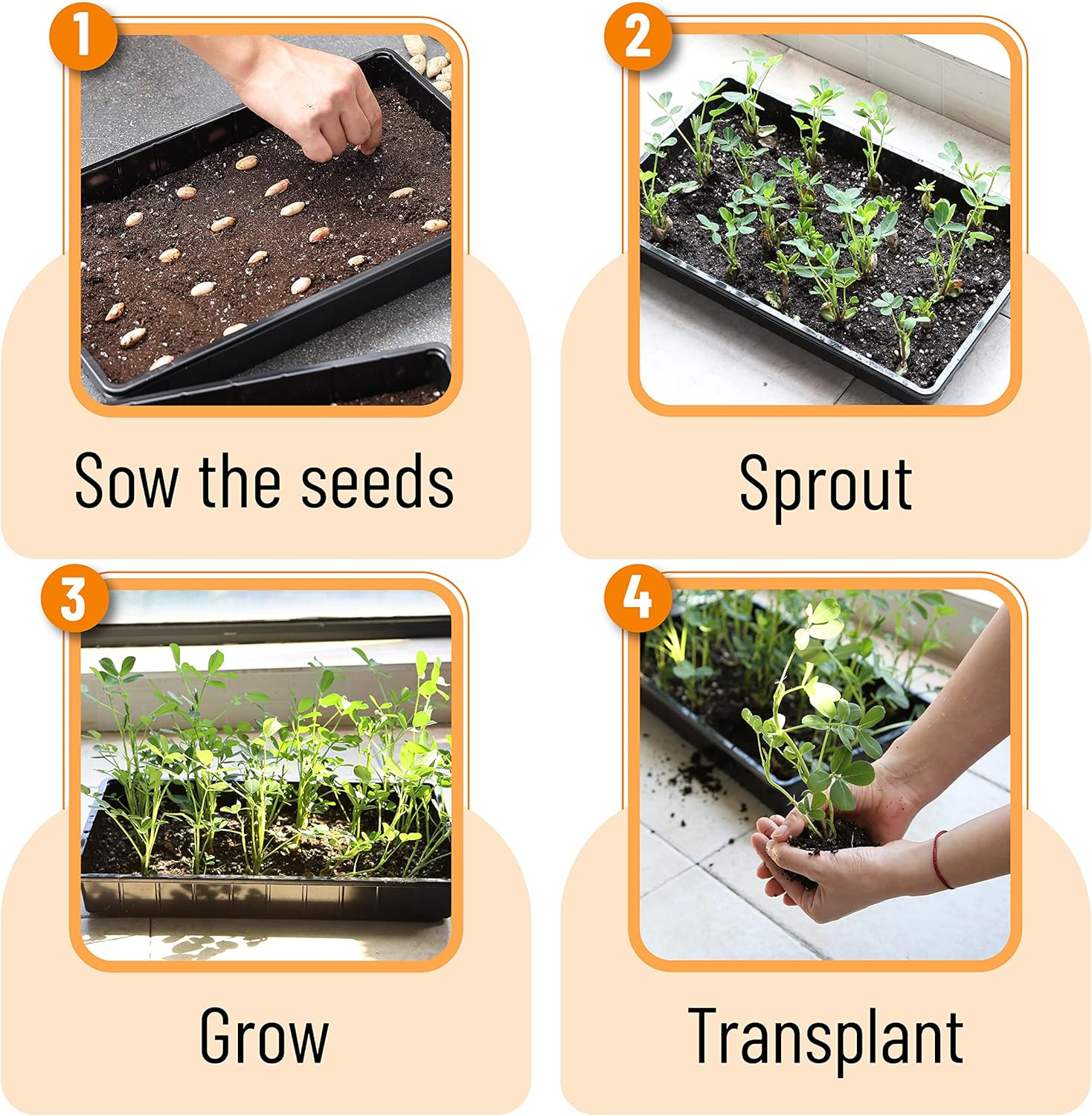 Mr. Pen- Plastic Growing Trays, 5Pack, Black, 17X10, Plant Tray, Seed Tray, Seedling Tray, Propagation Tray, Plant Trays for Seedlings, Planting Trays, Microgreens Growing Trays, Seedling Starter Tray image number 2