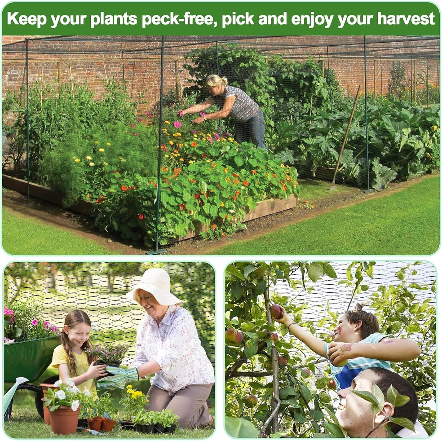 Bird Netting for Garden Protection, 13X32Ft Garden Netting W/ 0.8" Mesh, Poultry Netting for Chicken Coop, Deer Fence Netting for Plants Fruit Trees Vegetables against Birds, Squirrels, Other Animals image number 6