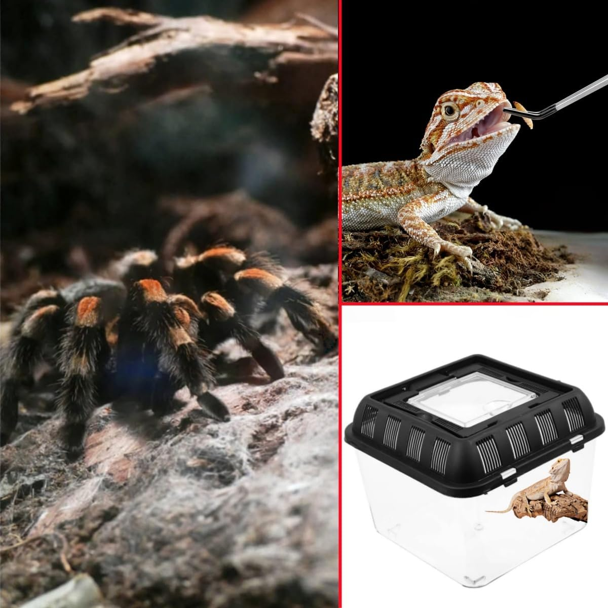 Small Pet Breeding Box,Reptile Habitat Tank Turtle Aquarium Home Turtle Habitat Breeding Box for Reptiles Pet,Storage Box with Handle image number 1