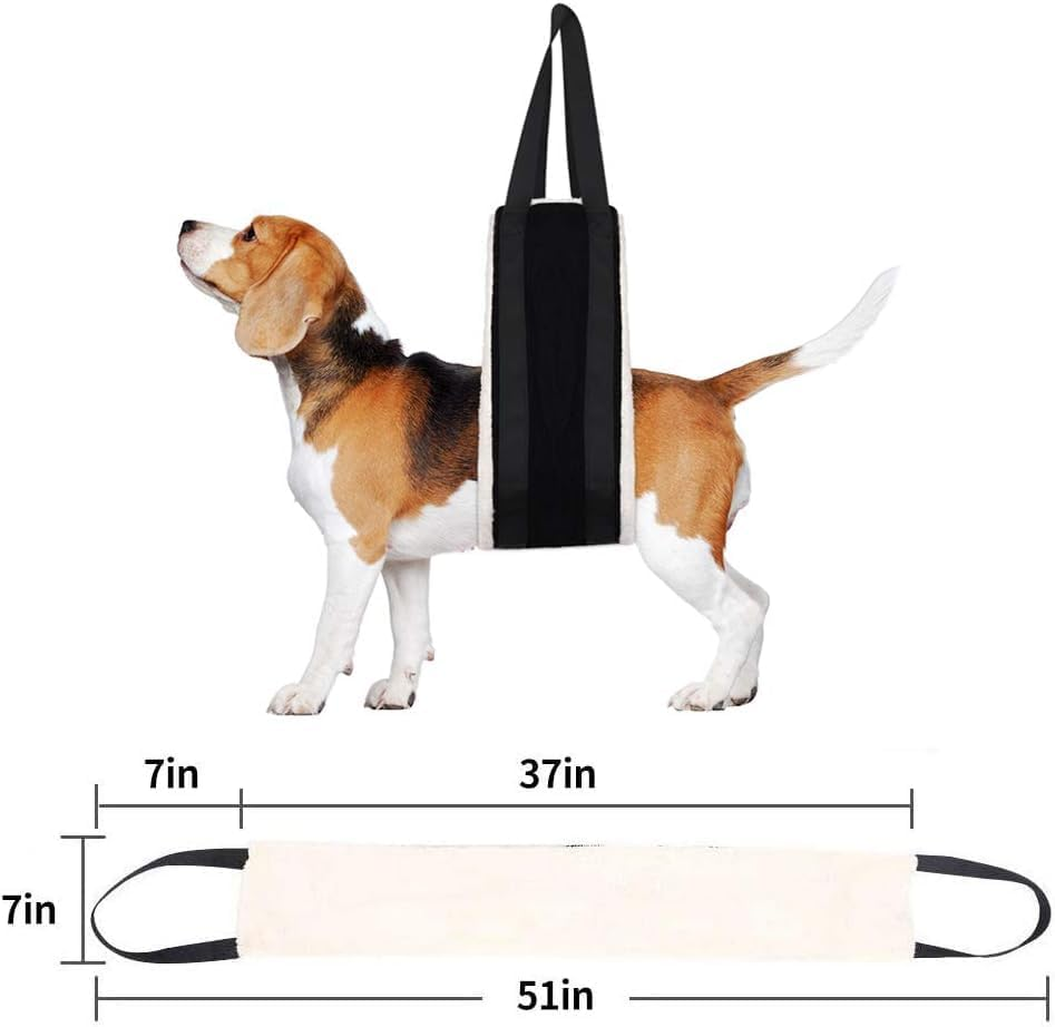 Dog Sling for Large Dogs 30-120 Lbs | Soft Lift Support Harness for Back Legs & Hip | Helps Senior/Disabled Dogs with Arthritis, ACL Surgery Recovery & Mobility Aid (Black) image number 1