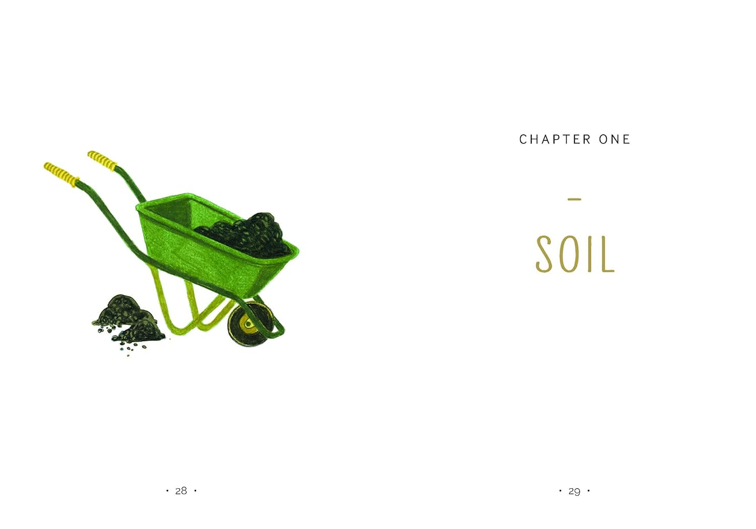 Garden like a Nonno: the Italian Art of Growing Your Own Food image number 1