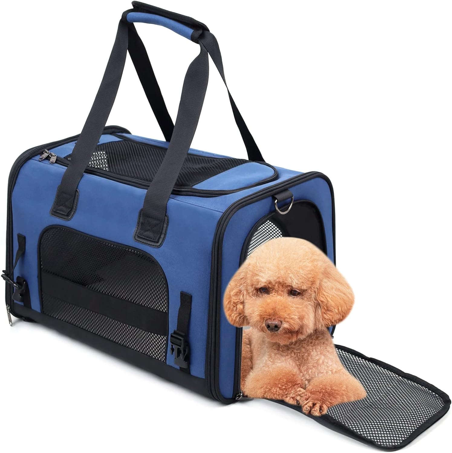 Soft Side Pet Carrier, Cat Carrier Bag, Pet Carrier Bag for Small Dog Cat, Portable Bag Carrier for Small to Medium Cat and Small Dog,Cat Carrier 47L X 31W X 30H Centimetres