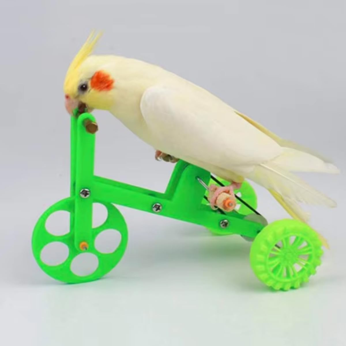 AIMALL Parrot Training Bicycle Toy, Interactive Bird Props for Small and Medium Birds, 5.51X2.83X3.42 Inch or 7.28X2.83X4.92 Inch, Includes Spare Belt image number 1