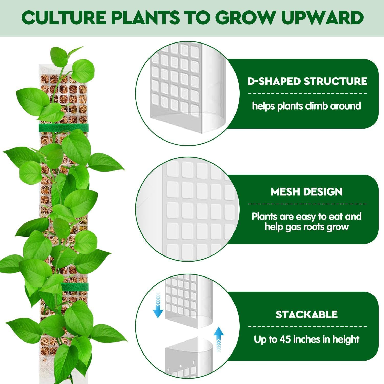 4 PCS 24 Inch Plastic Moss Pole for Monstera & Climbing Plants, Sphagnum Moss Plant Support, Indoor Plant Stake For, Stackable Plant Support for Indoor Plants, with Ribbon Strong and Durabl image number 3