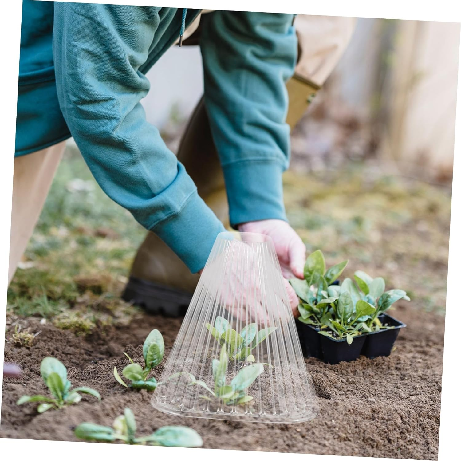 SEWOART Garden Cloche Dome and Frost Protection Plant Covers for Outdoor Gardening, Plastic Reusable Bell Jar with Sunshade and Snail Deterrent, Cone-Shaped Plant Protector for Vegetable image number 5