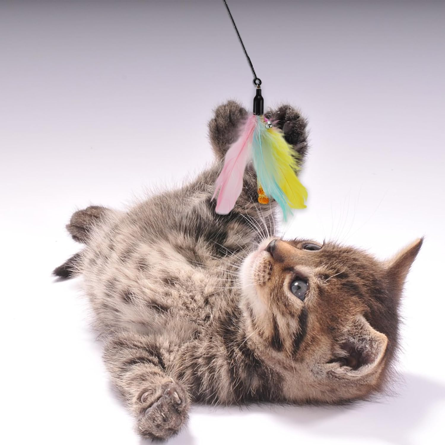 CAPASTEC Pack of 2 Cat Wand Replacement for Pet Interactive, Fluffy Feathers image number 4