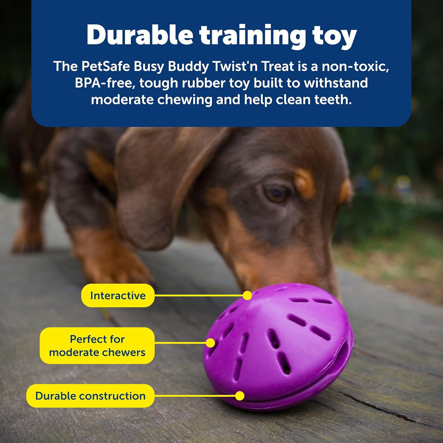 Petsafe Busy Buddy Twist 'N Treat Dispensing Dog Toy - Large image number 1