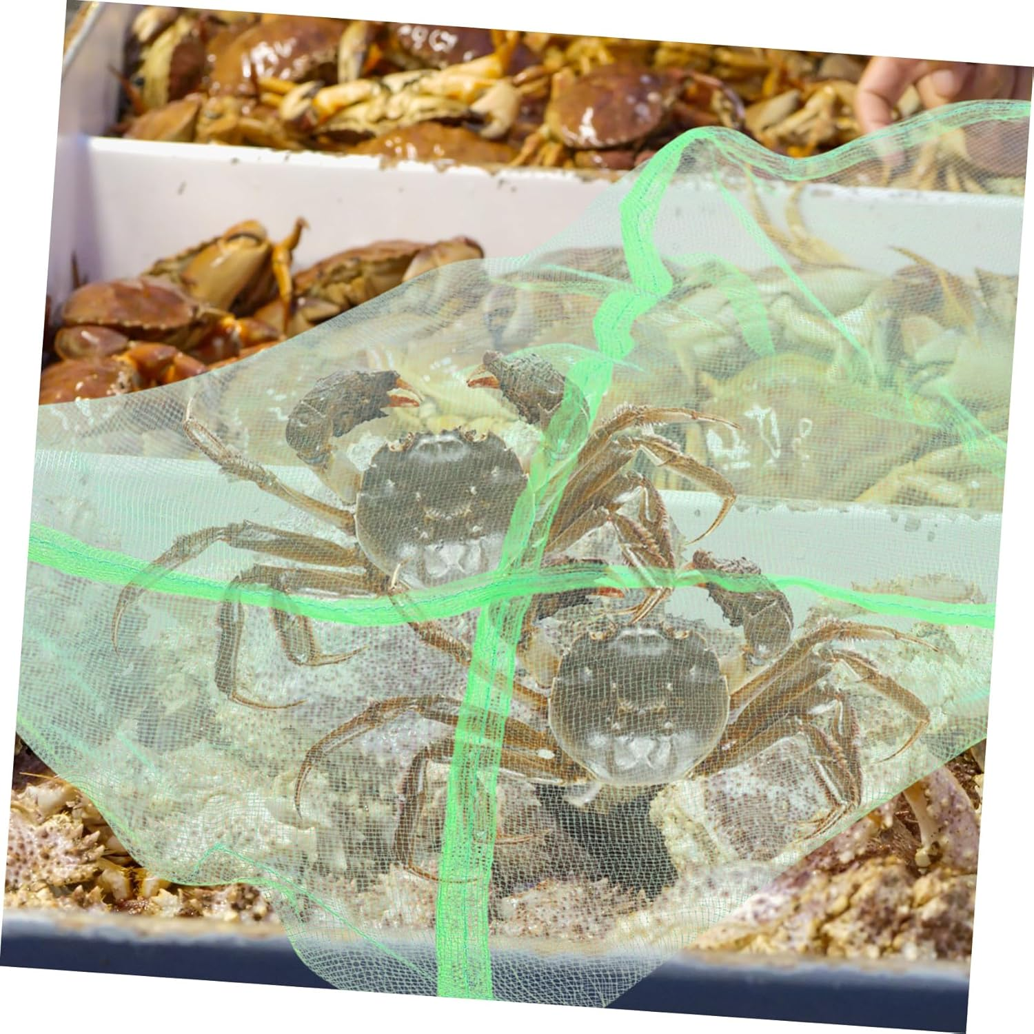 UKCOCO 10Pcs Portable Crab Catching Net Bags Lightweight Breathable Drawstring Mesh for Outdoor Fishing Storage image number 2