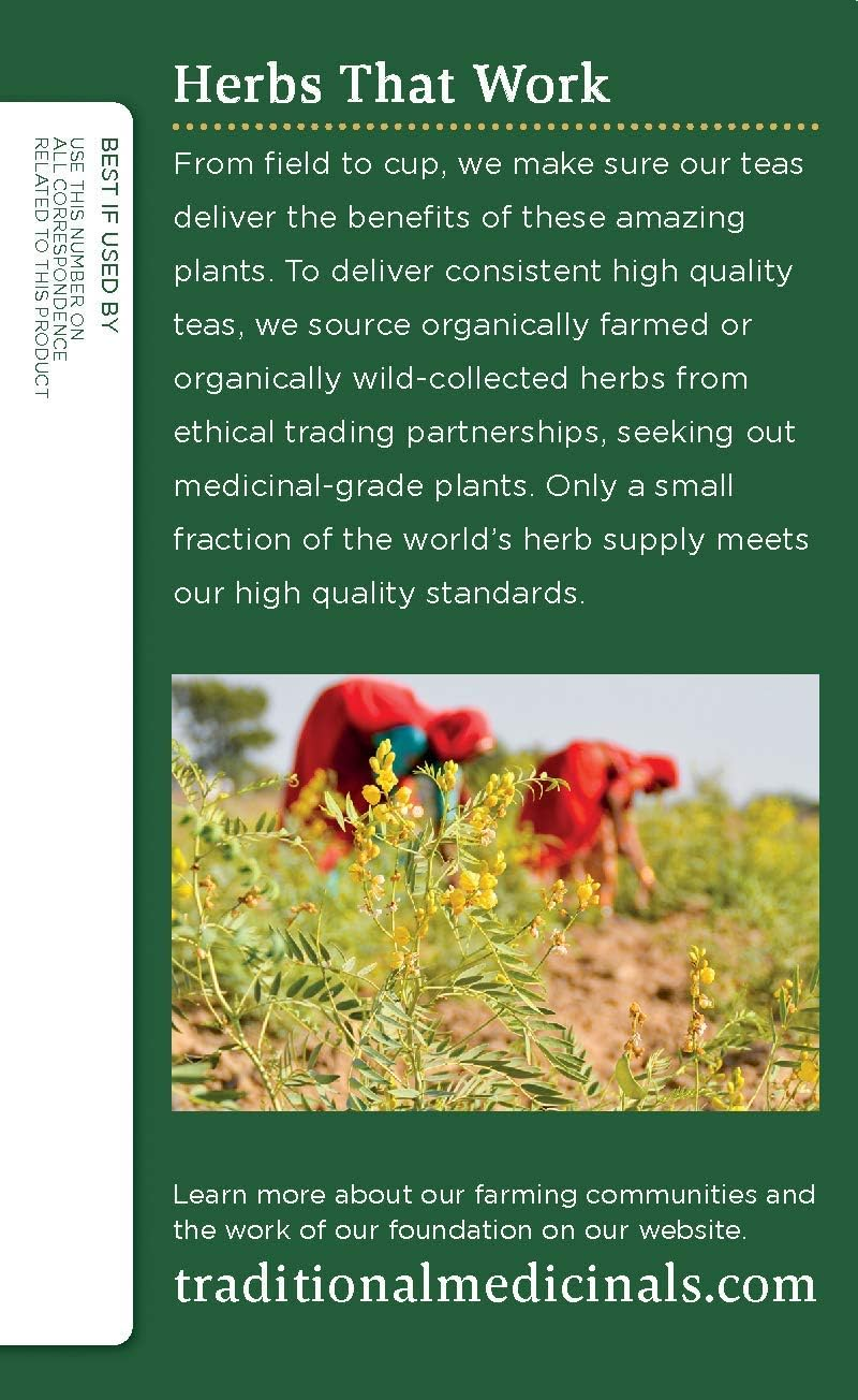 Roasted Dandelion Root Tea - 16 Count - Pack of 1, 0.85 Oz image number 6