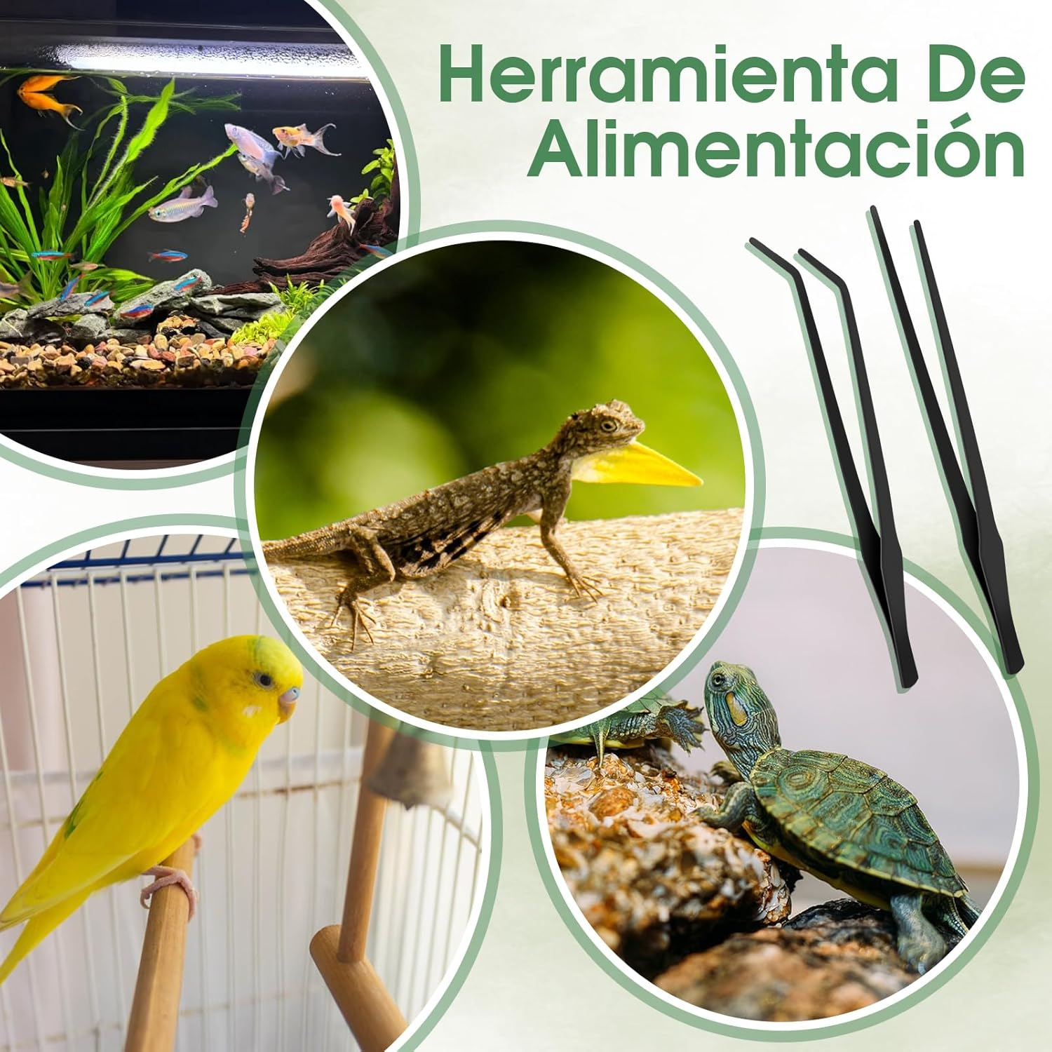 38Cm Extra-Long Aquarium Tweezers, Set of Straight and Curved Stainless Steel Tweezers, Extra-Long Aquarium Tweezers, Aquascaping and Fish Tank Feeding Tools